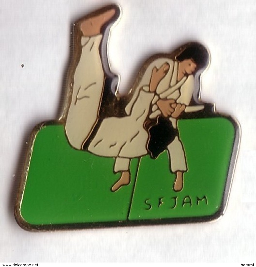 C136 Pin's JUDO SFJAM Société Française De Judo Et D'arts Martiaux Vert Achat Immédiat - Judo