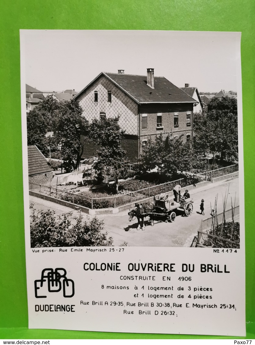 Dudelange, Colonie Ouvriere Du Brill, Construite En 1906. Attelage - Dudelange