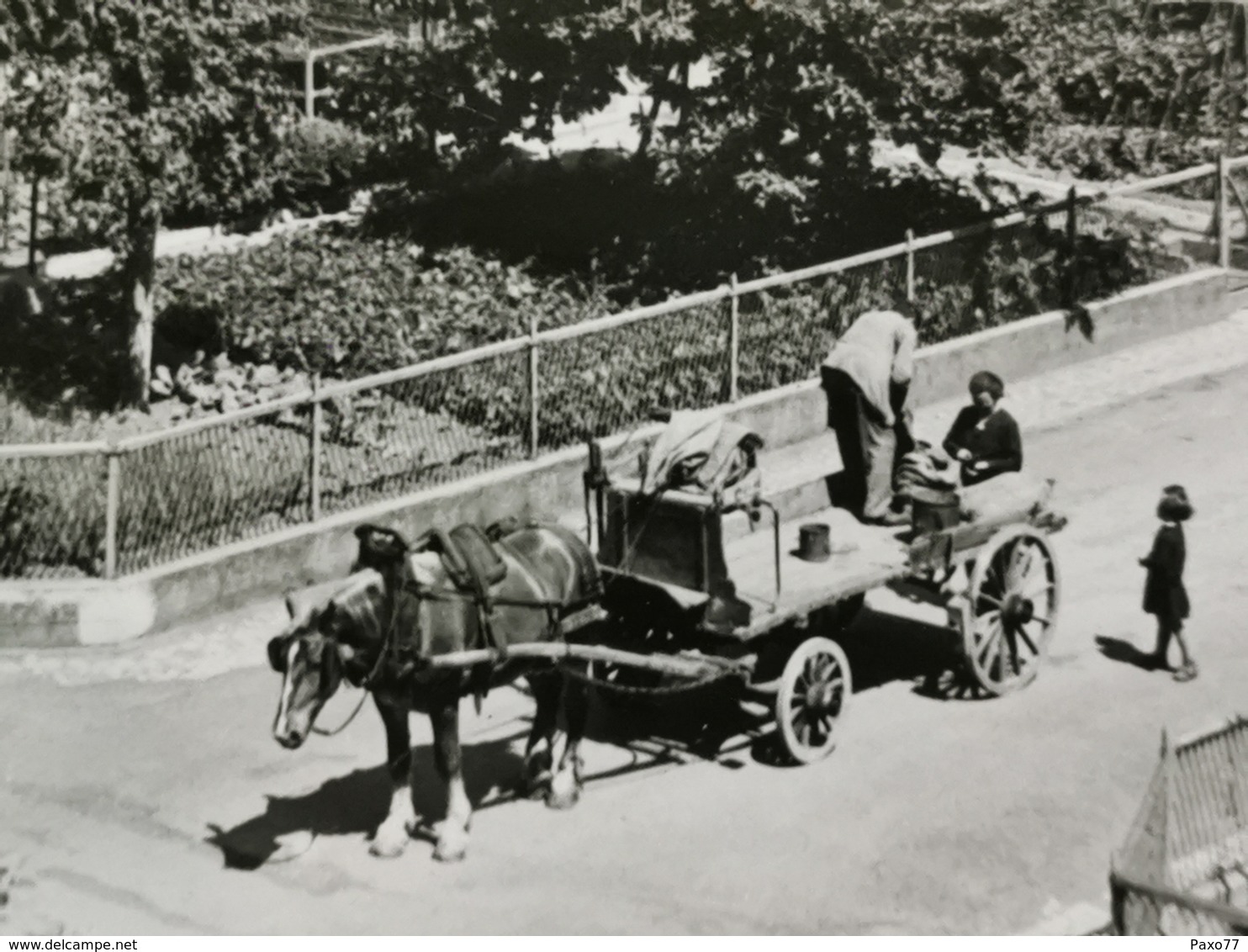 Dudelange, Colonie Ouvriere Du Brill, Construite En 1906. Attelage - Dudelange