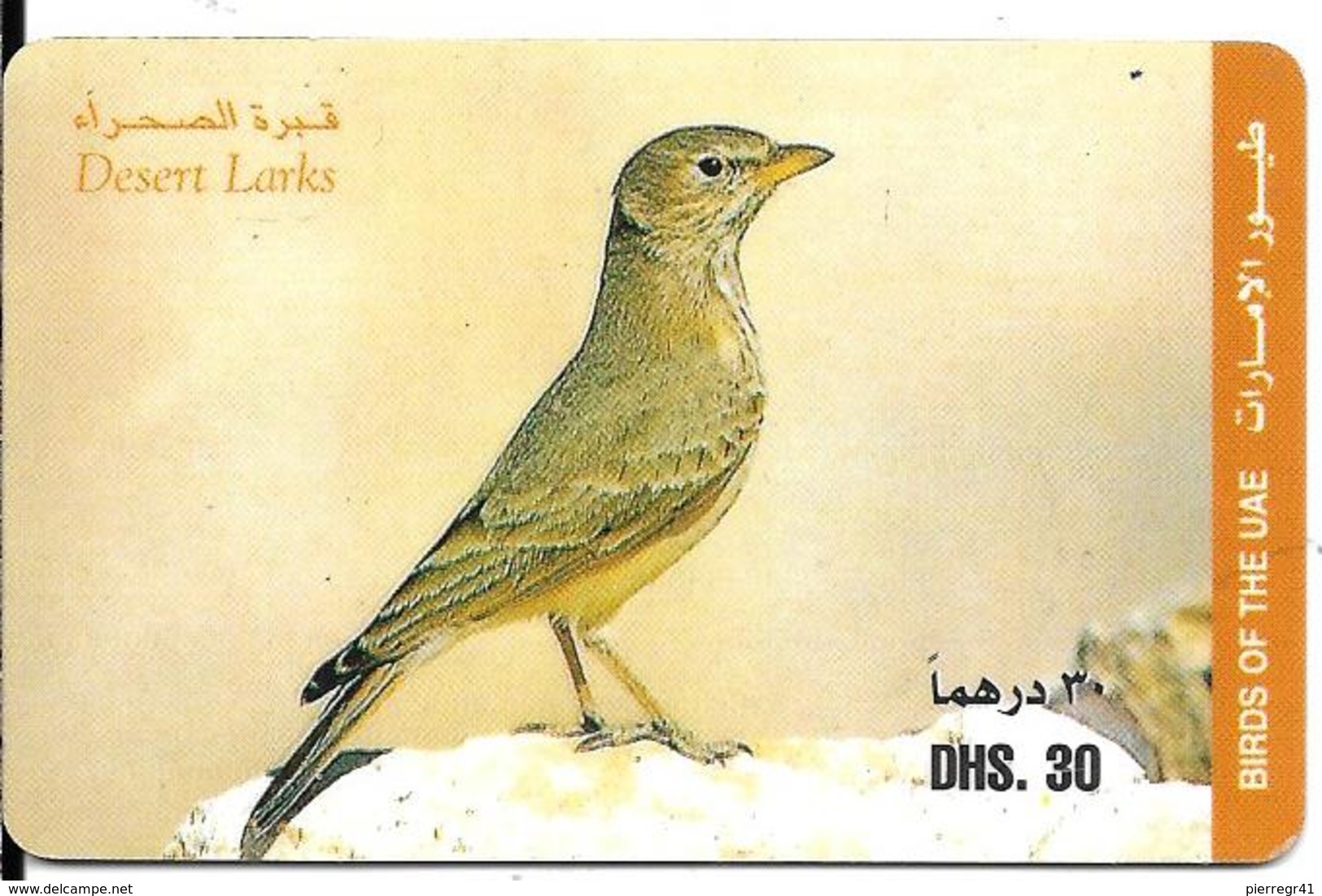 CARTE-PREPAYEE-ETISALAT-OISEAU DESRT LARKS-Alouette-Plastic Epais-TBE-RARE - Passereaux