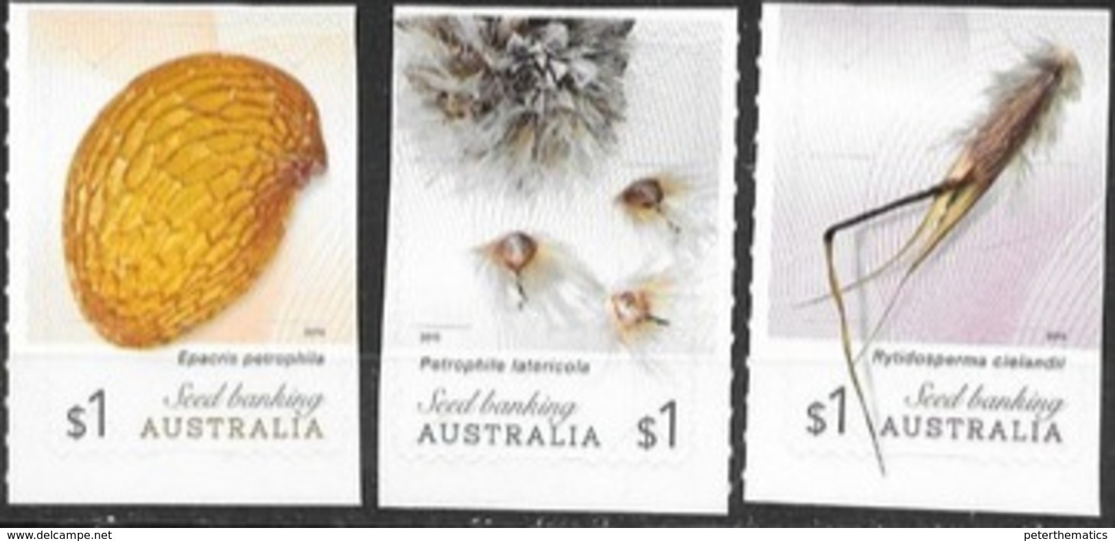 AUSTRALIA, 2019,  MNH, SEEDS, PLANTS, SEED BANKING, 3v S/A Ex. BOOKLETS - Altri & Non Classificati