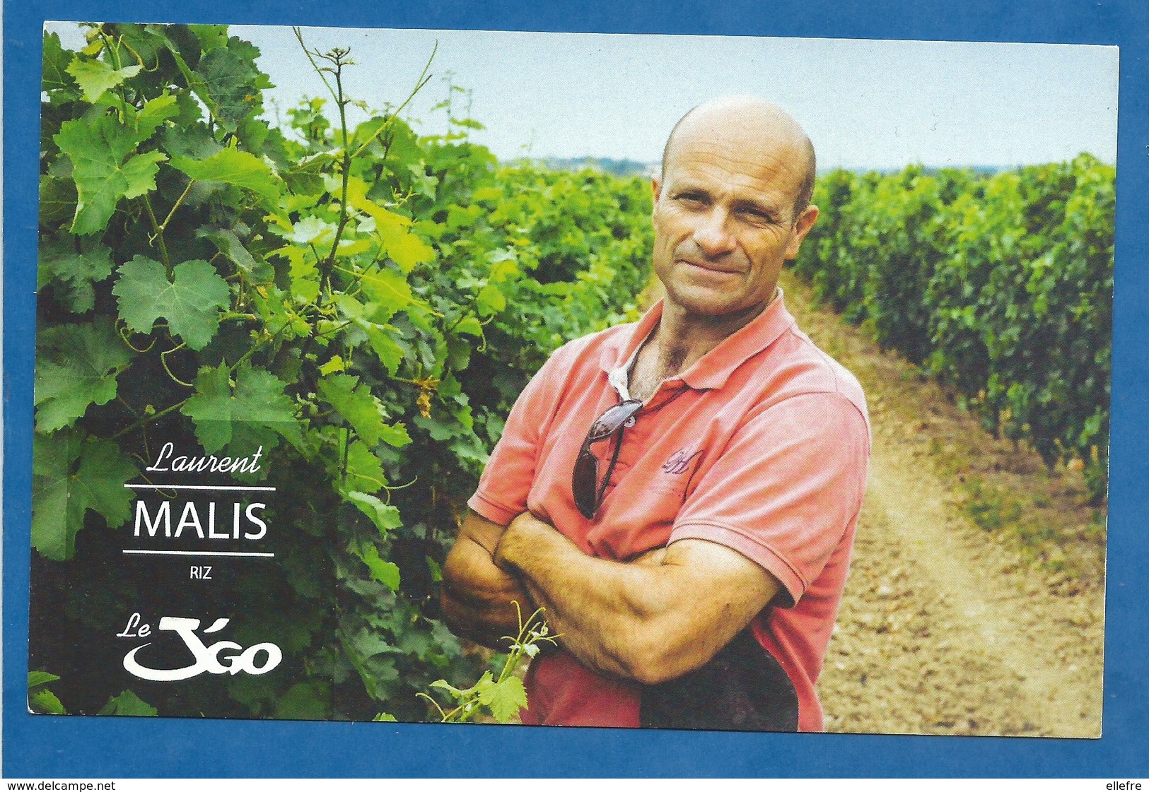 CPM Publicitaire Laurent Malis Viticulteur - Carte Publicitaire Dos Imprimé - Vignes