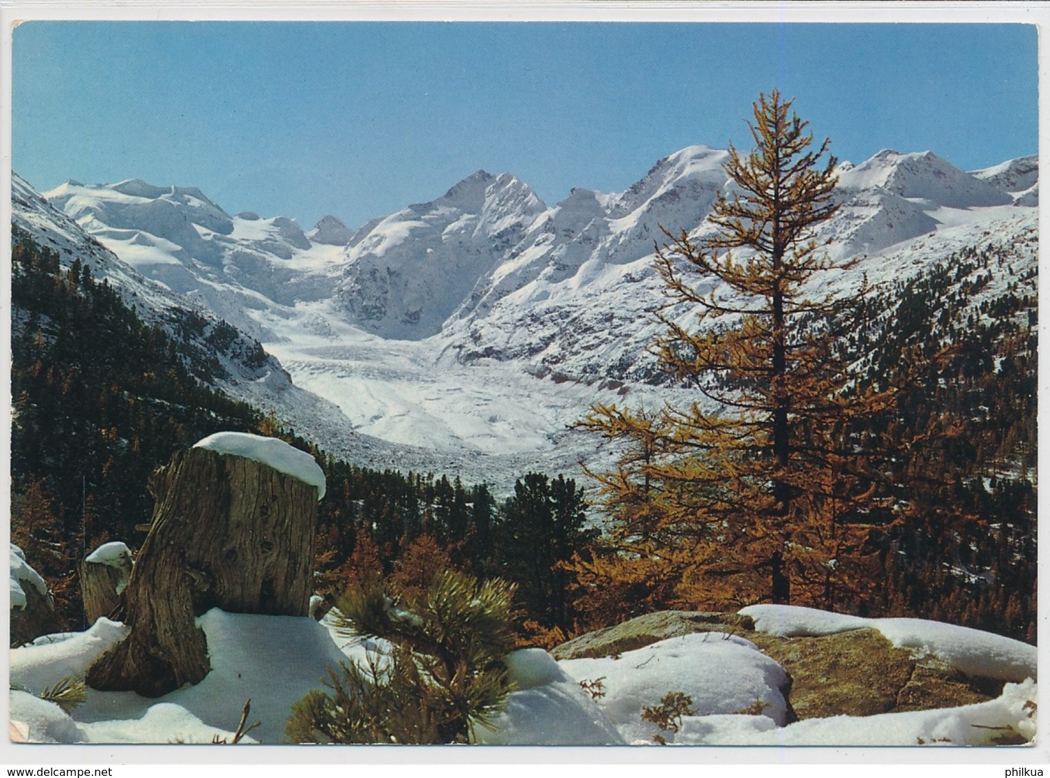 Moratschgletscher - Foto/Verlag C. Filli Celerina - Gelaufen Ab Cinous-Chel - Celerina/Schlarigna