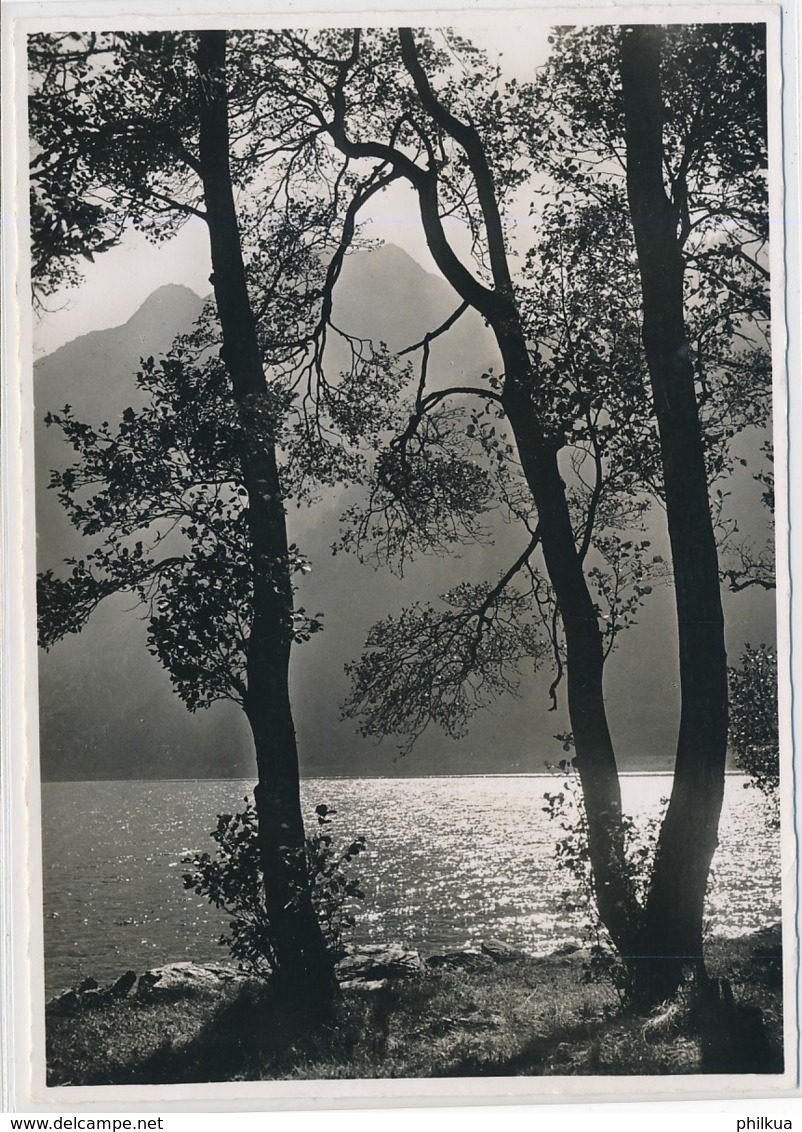 Lago Di Poschiavo - Le Prese - Foto/Verlag Ed. M. Zanetti Poschiavo - Gelaufen Ab Le Prese - Poschiavo