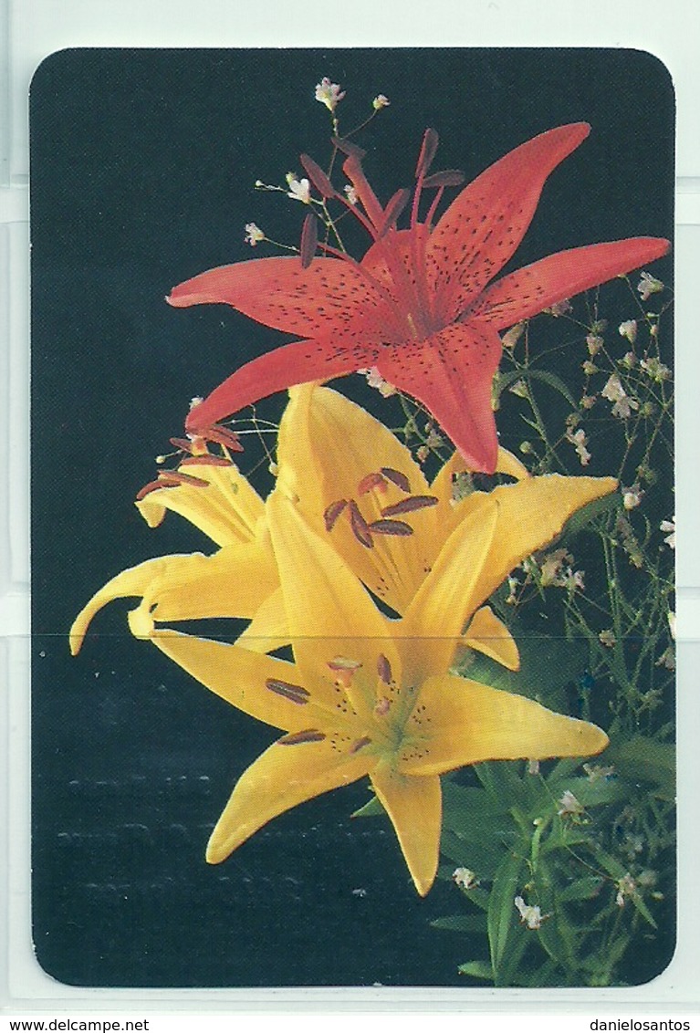 1997 Pocket Calendar Calandrier Calendario Portugal Flores Flowers Fleur - Grand Format : 1991-00