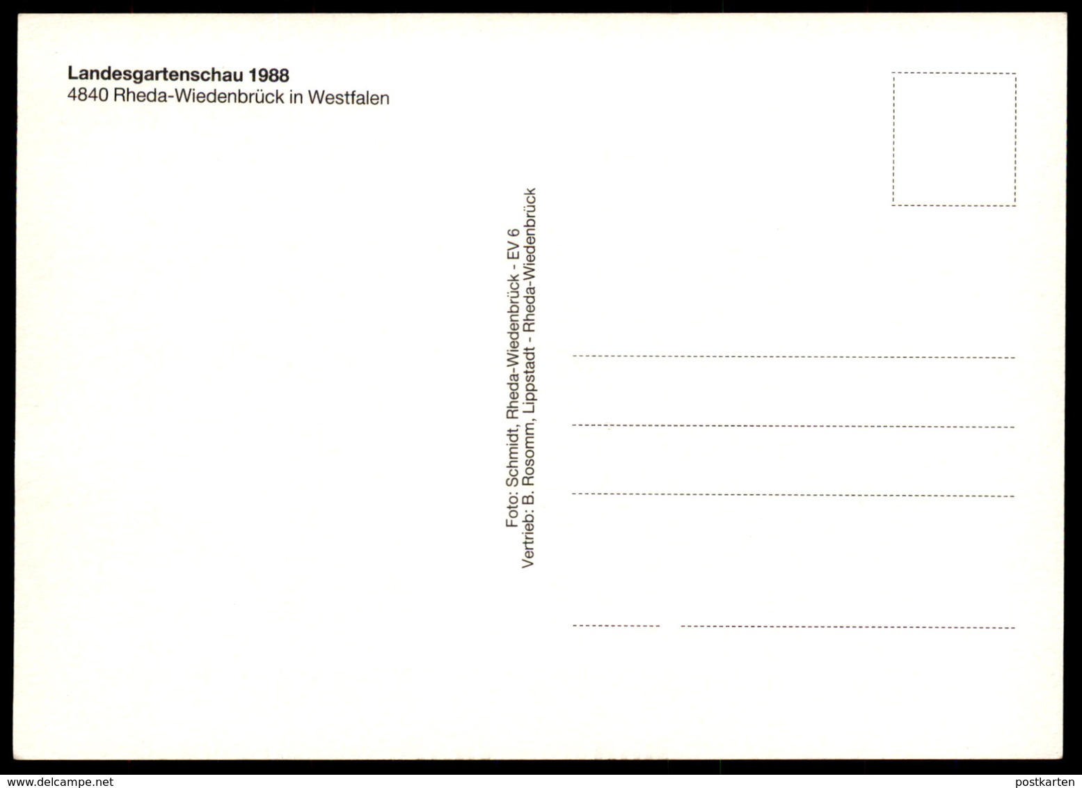 ÄLTERE POSTKARTE LANDESGARTENSCHAU 1988 REHDA-WIEDENBRÜCK Narzissen Narzisse Daffodil Cpa Postcard AK Ansichtskarte - Rheda-Wiedenbrueck