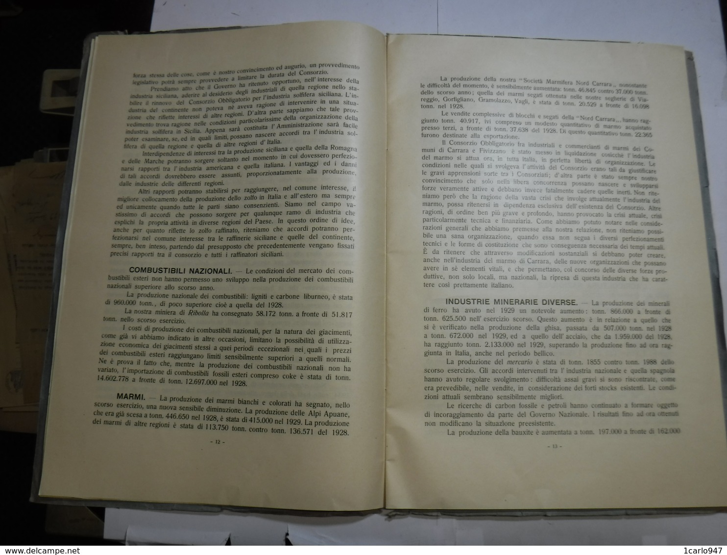 MILANO  --MONTECATINI  -- SOCIETA' GENERALE  PER L'INDUSTRIA  MINERARIA E AGRICOLA  -- RELAZIONE -- BILANCIO  1929 - Italia