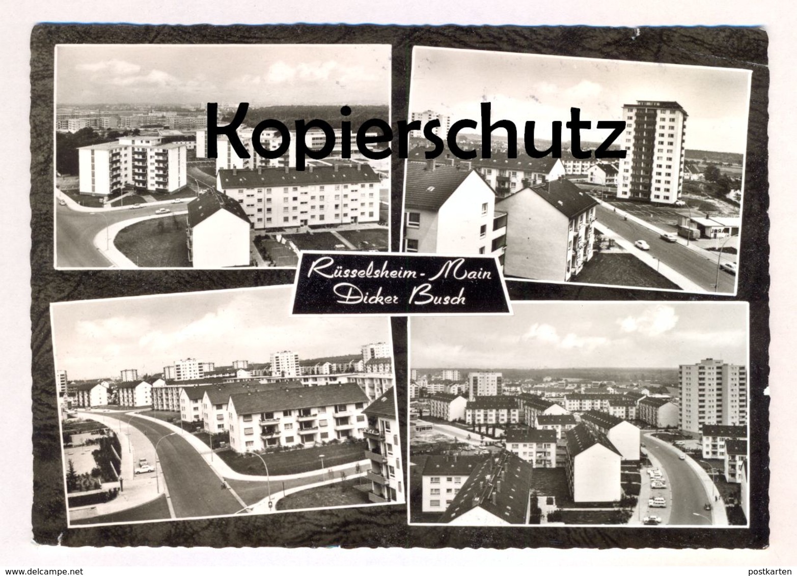 ÄLTERE POSTKARTE RÜSSELSHEIM MAIN DICKER BUSCH Ansichtskarte AK Cpa Postcard - Ruesselsheim