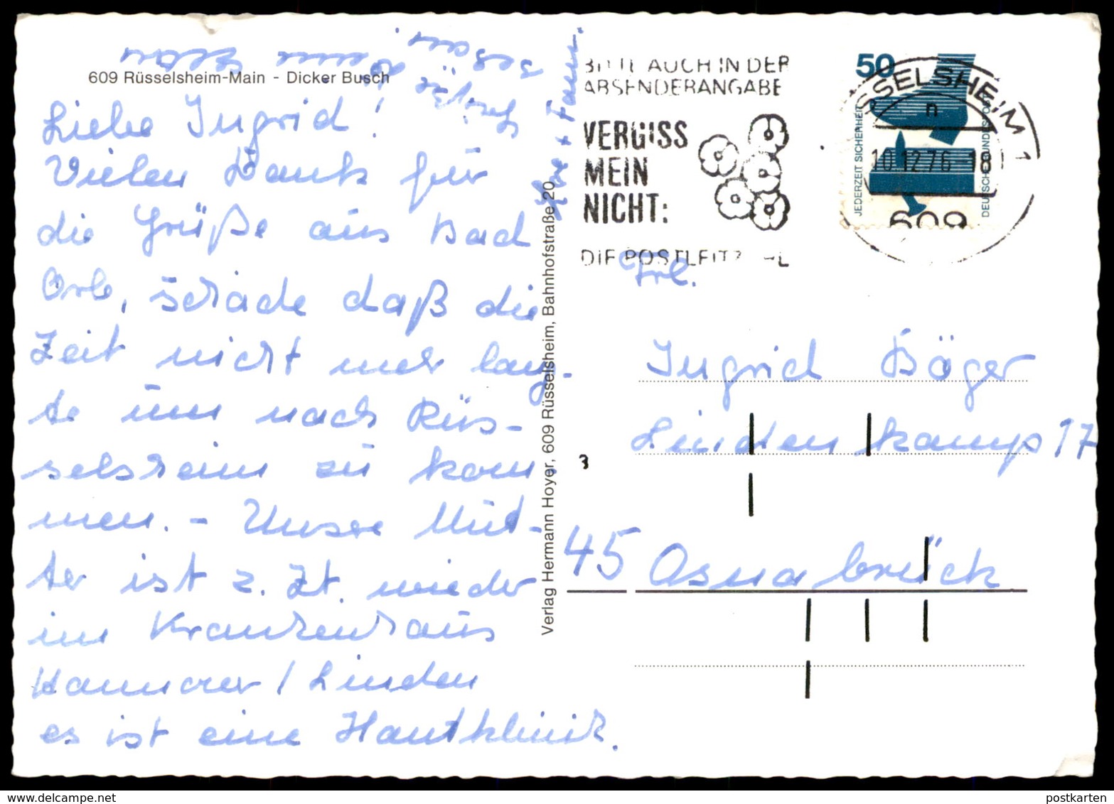 ÄLTERE POSTKARTE RÜSSELSHEIM MAIN DICKER BUSCH Ansichtskarte AK Cpa Postcard - Rüsselsheim