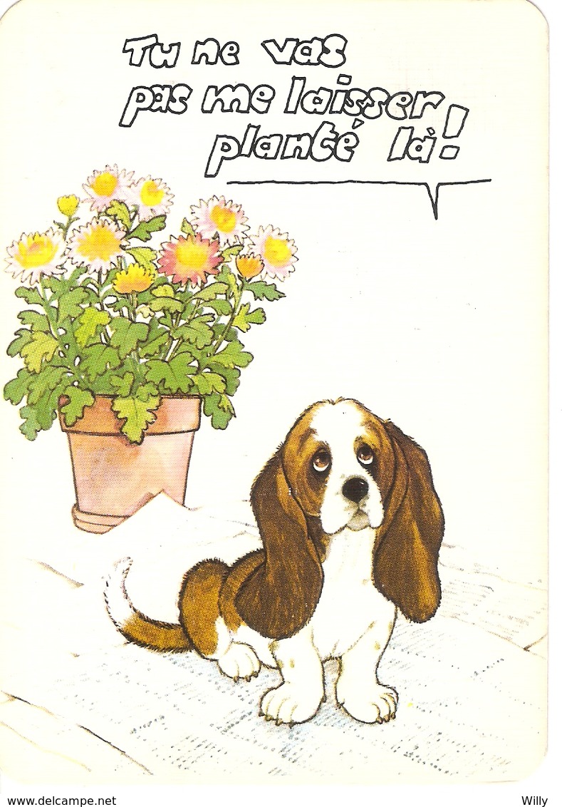 AN 1260, FANTASY  POST CARD  , CPM ,  , DOGS - Chiens