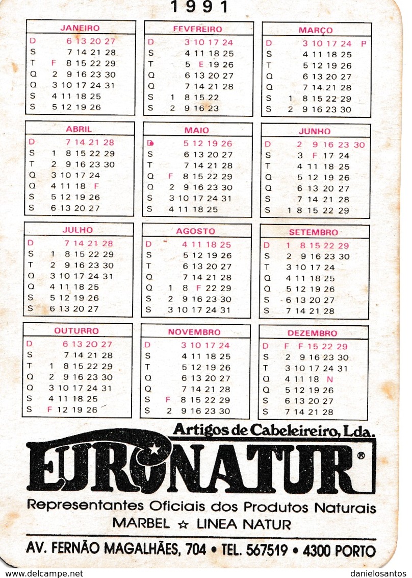 1991 Pocket Calendar Calandrier Calendario Portugal Crianças Children Les Enfants Ninos - Grand Format : 1991-00