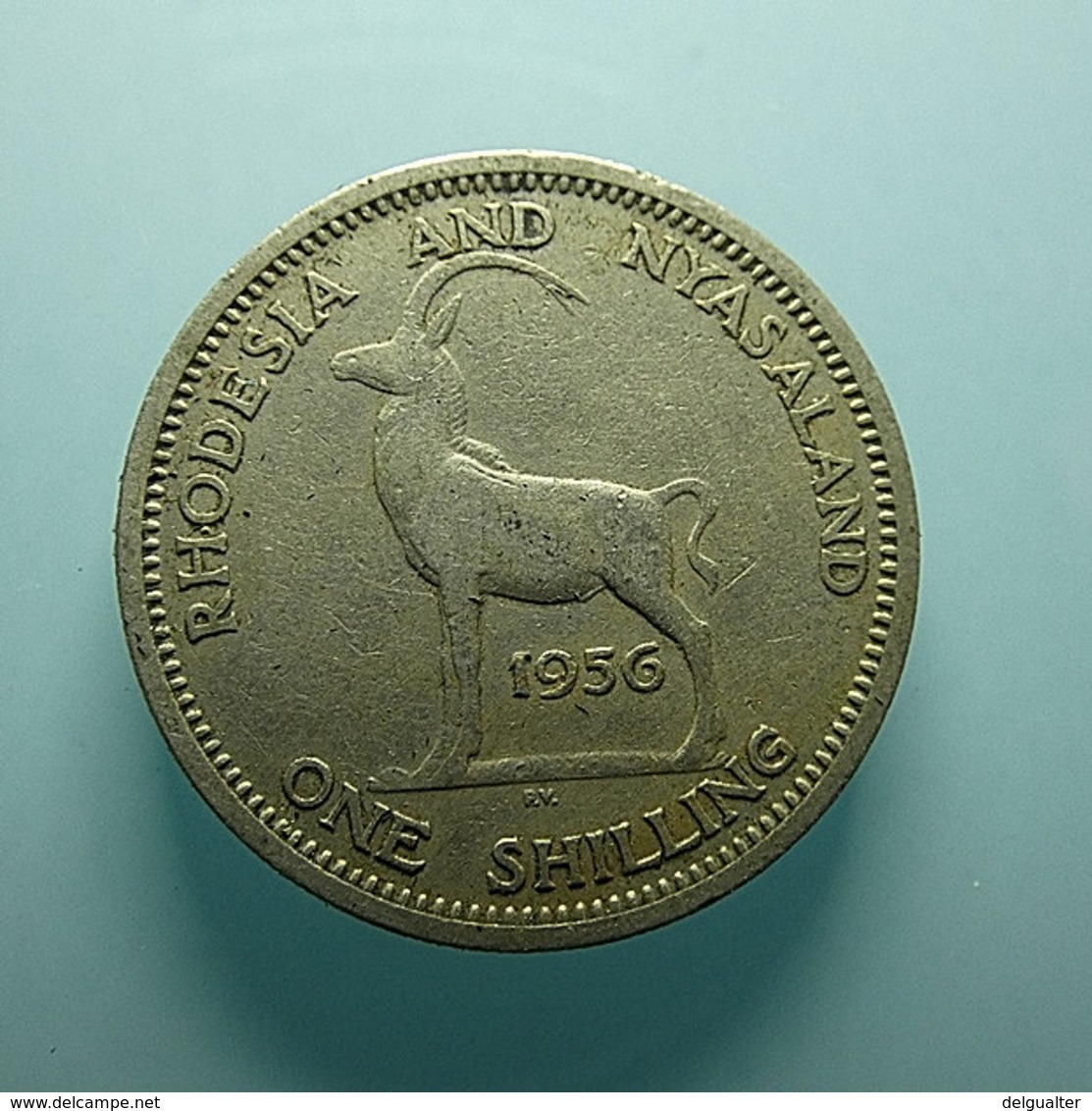 Rhodesia And Nyasaland 1 Shilling 1956 - Rhodesia