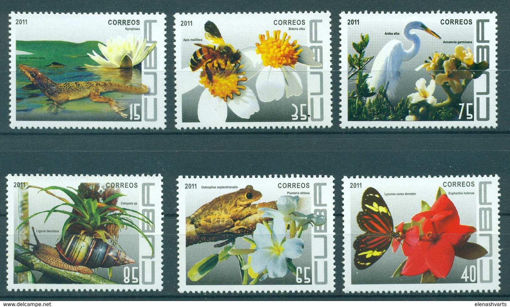 Cuba 2011 Flora And Fauna  (MNH)  - Flora, Flowers, Birds, Fauna, Reptiles, Insects, The Bees, Butterflies, Herons, Liza - Unused Stamps