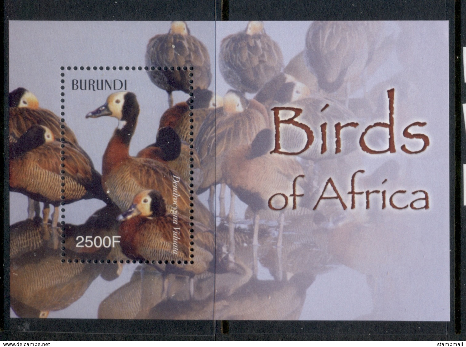 Burundi 2004 Birds Of Africa MS MUH - Ungebraucht