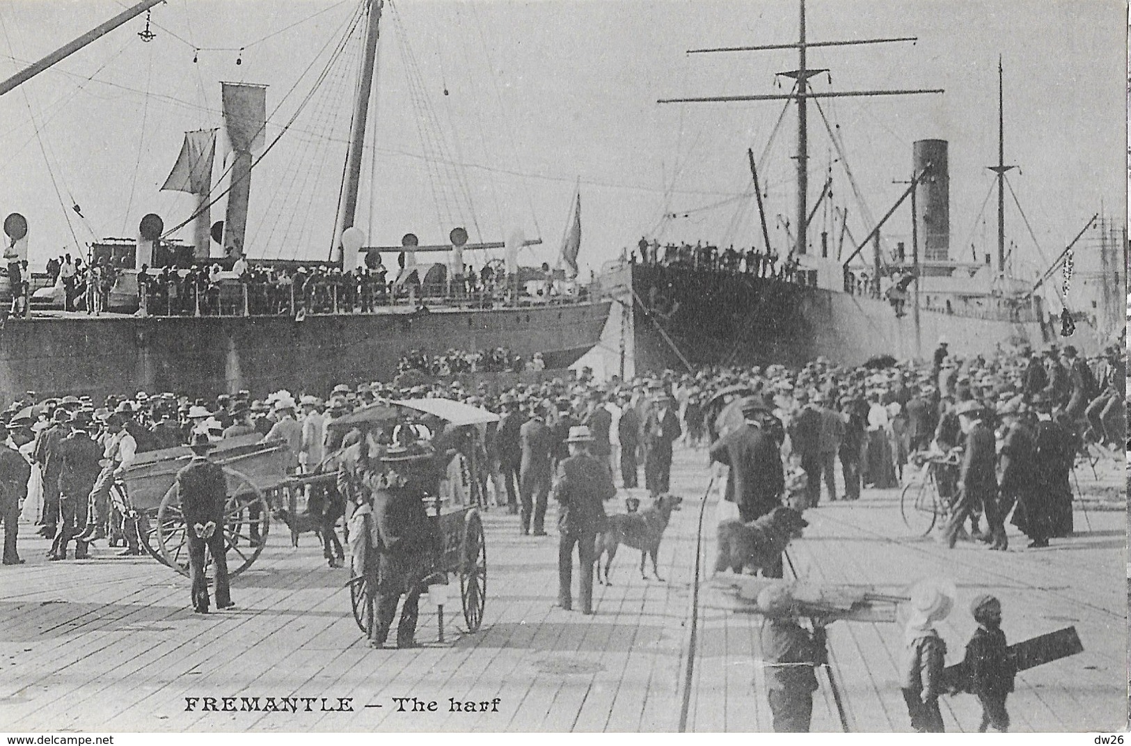 Fremantle (Australie Occidentale) Le Port: The Wharf - Messageries Maritimes, Carte Dos Simple Non Circulée - Fremantle