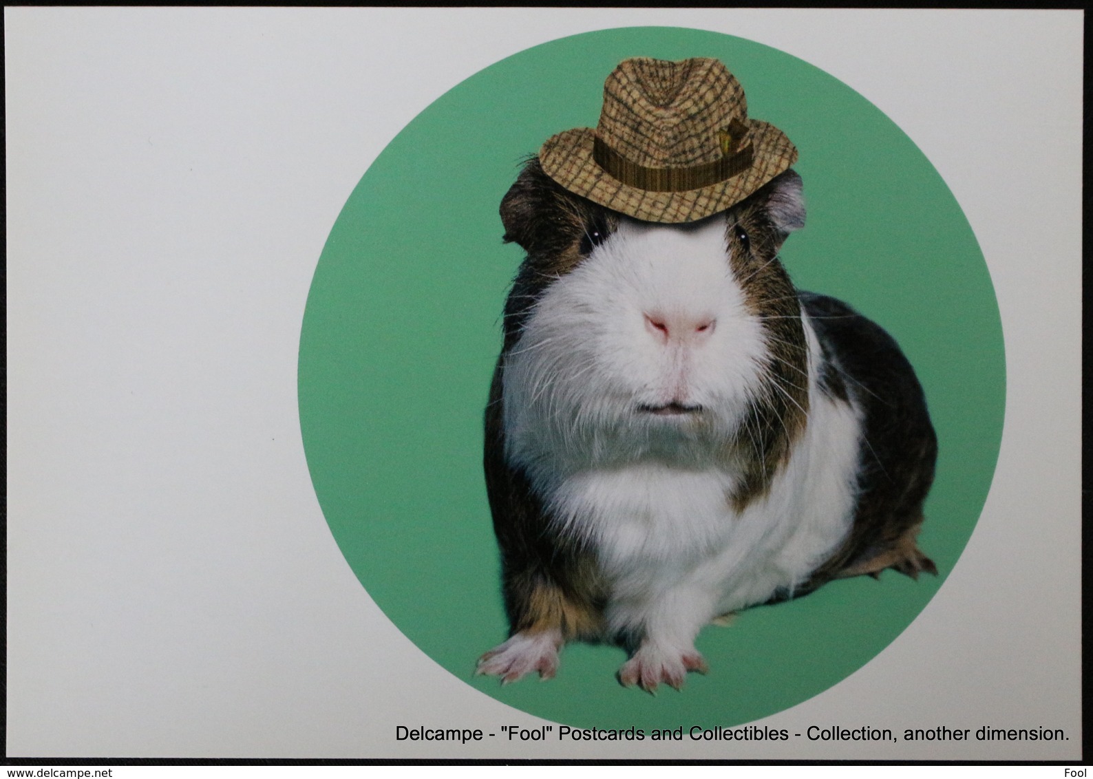 Famous Faces TAKKODA Pets Celebrity Photography Célébrités Animal Photographie Cobaye Avec Chapeau Guinea Pig With Hat - Animaux Habillés