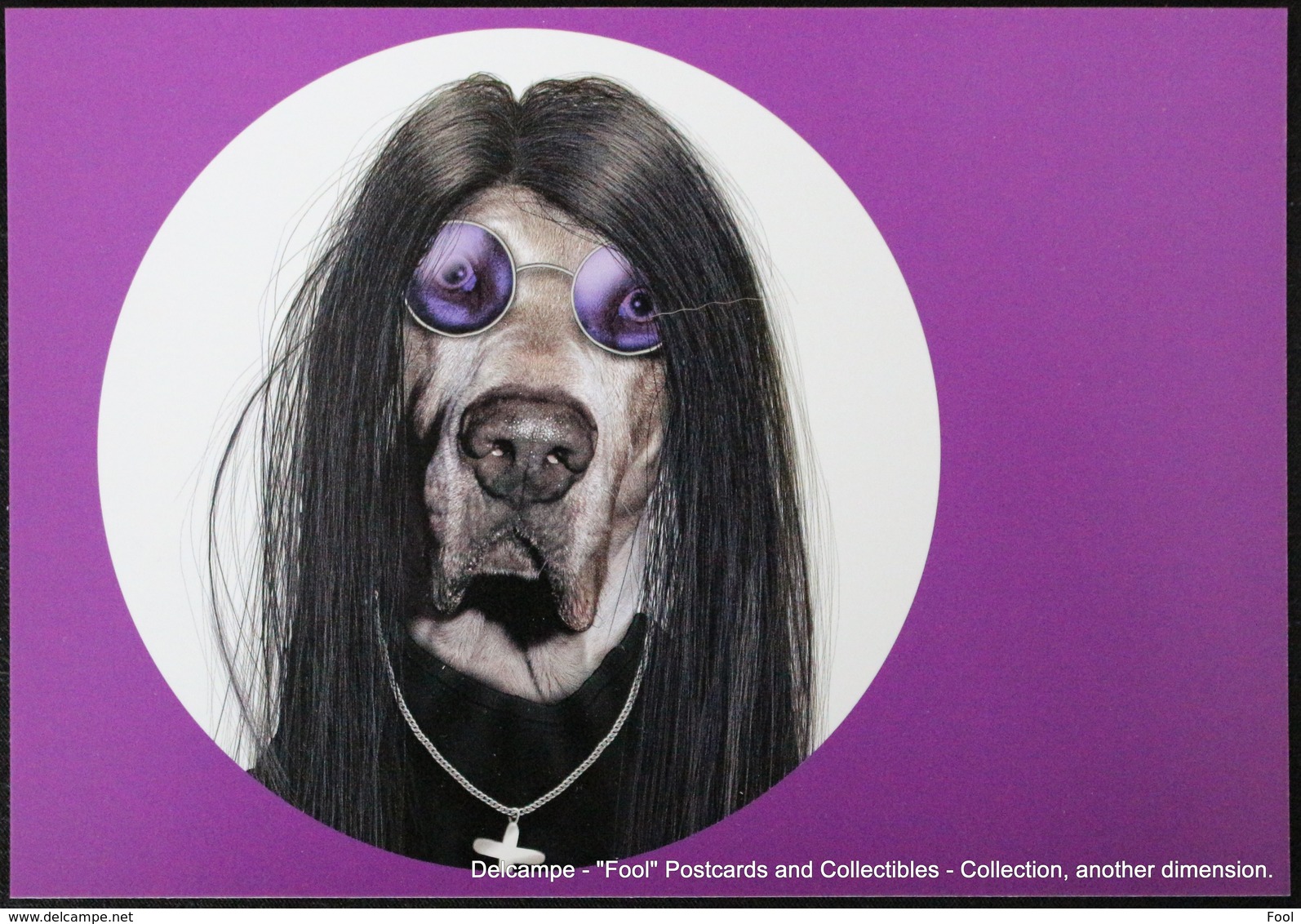 Famous Faces TAKKODA Pets Celebrity Photography Célébrités Animal Photographie Chien OZZY OSBOURNE Dog - Animaux Habillés