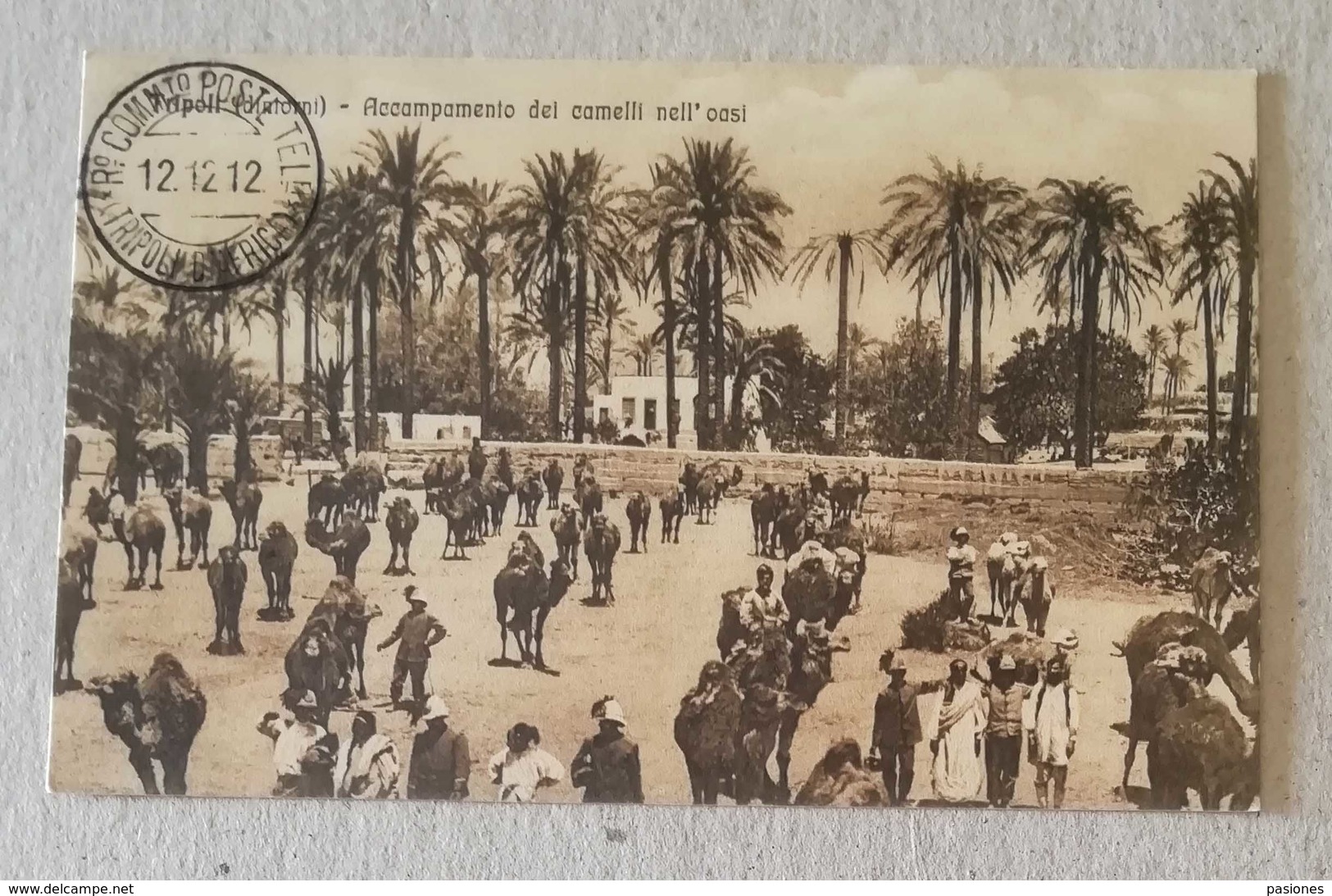 Cartolina Illustrata "Tripoli - Accampamento Dei Camelli Nell'oasi" - Non Viaggiata, Timbro Postale 12/12/1912 - Tripolitania