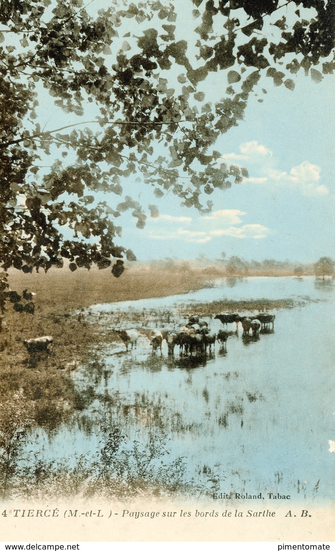 TIERCE PAYSAGE SUR LES BORDS DE LA SARTHE - Tierce