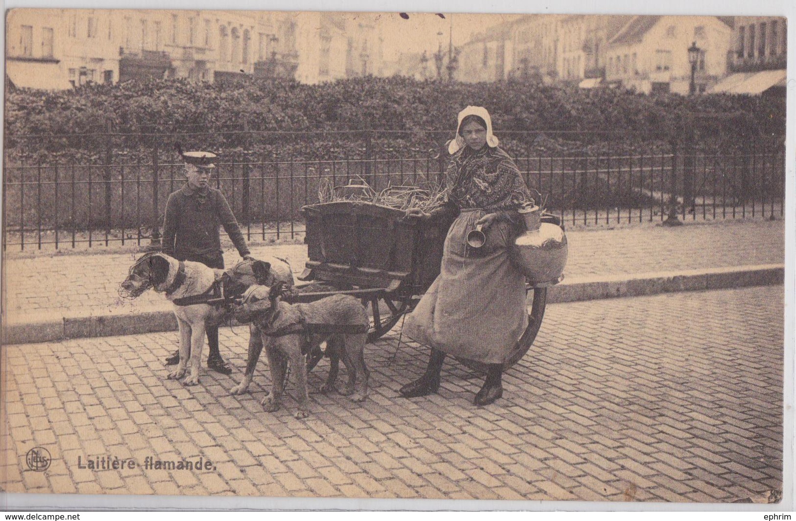 Attelage à Chiens Laitière Flamande Bruxelles Chien Au Travail Recto Verso - Ambulanti