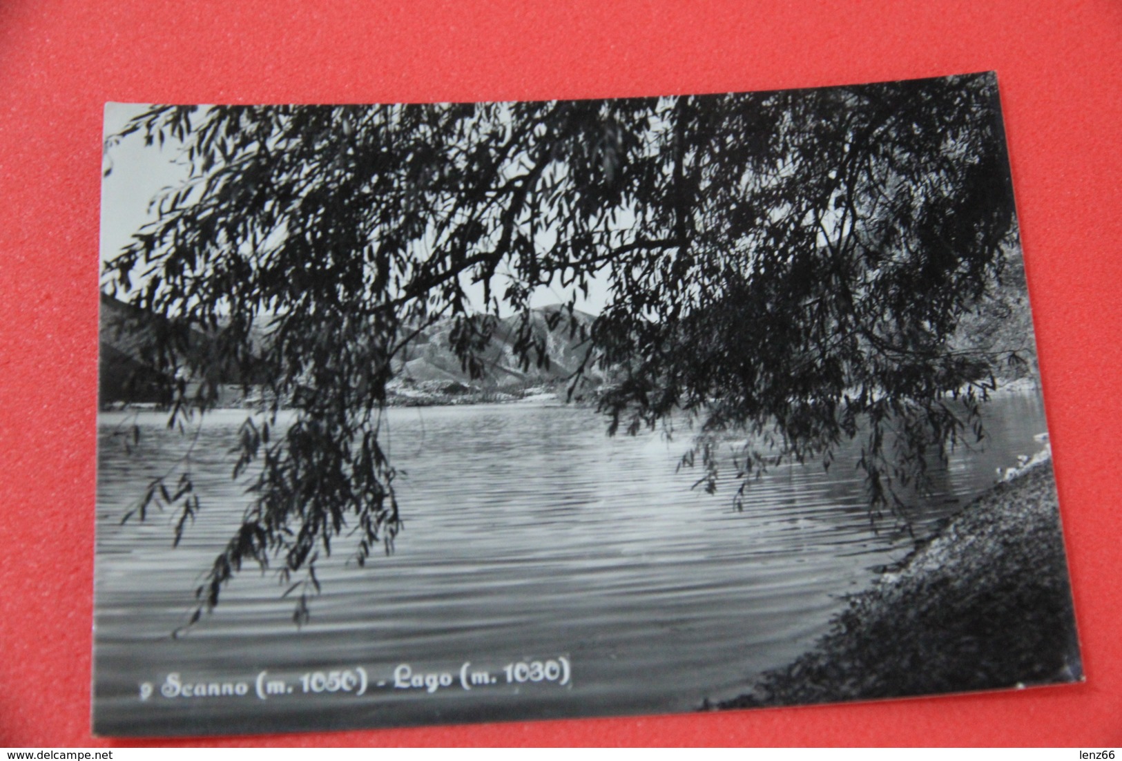 L' Aquila Scanno Il Lago 1957 Cartolina Pubblicitaria Albergo Belvedere - L'Aquila