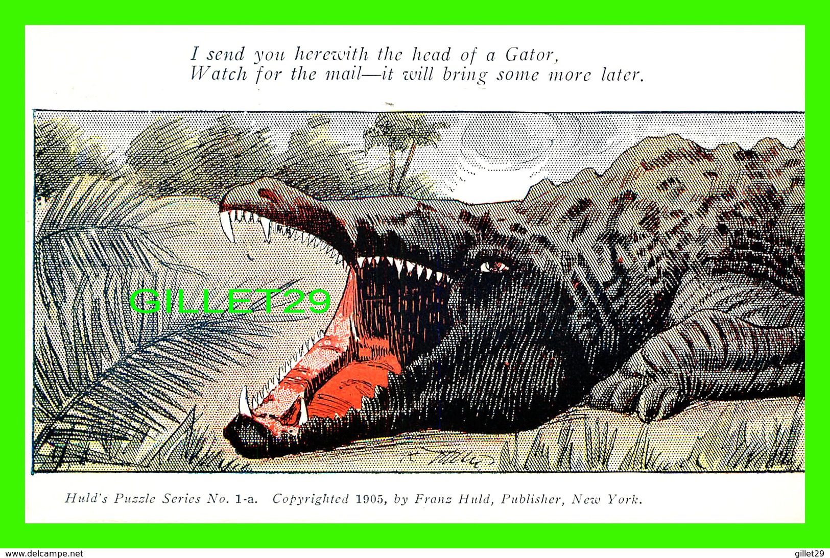 ALLIGATORS - CROCODILES - SERIES COMPLÈTE  DE 4 CARTES - HULD'S PUZZLE SERIES - TRAVEL IN 1906 - UNDIVIDED BACK - - Altri & Non Classificati