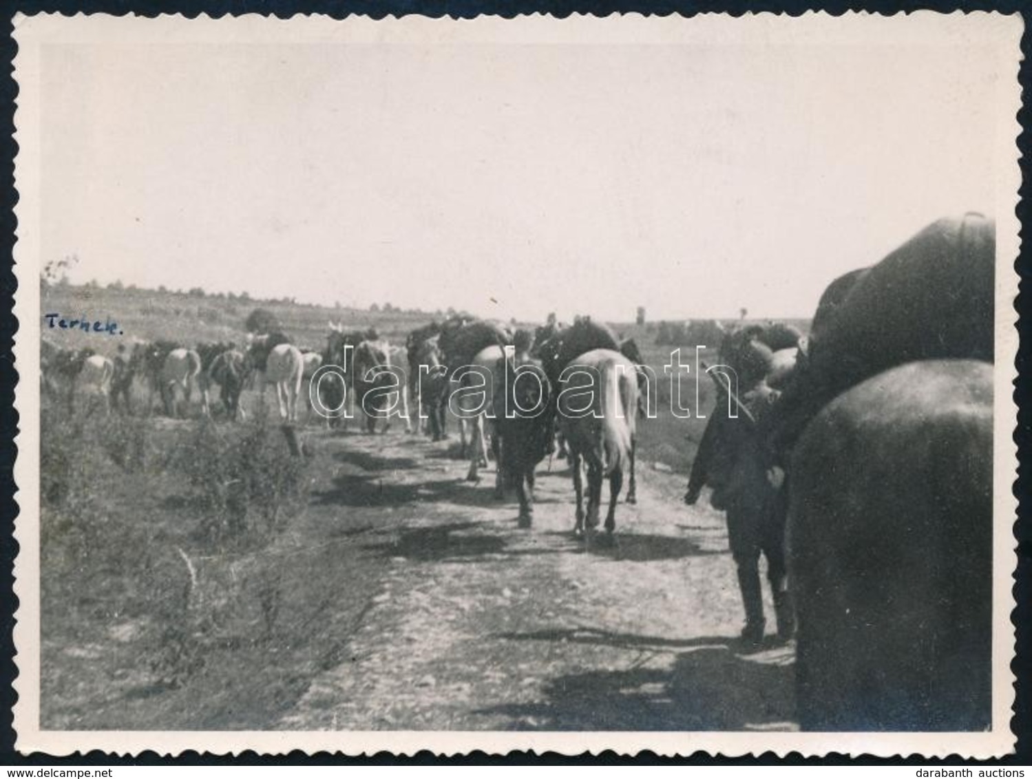 1940 Magyar Lovasosztag Az Erdélyi Bevonuláskor, Hátoldalon Feliratozott Fotó, 8,5×11,5 Cm - Sonstige & Ohne Zuordnung