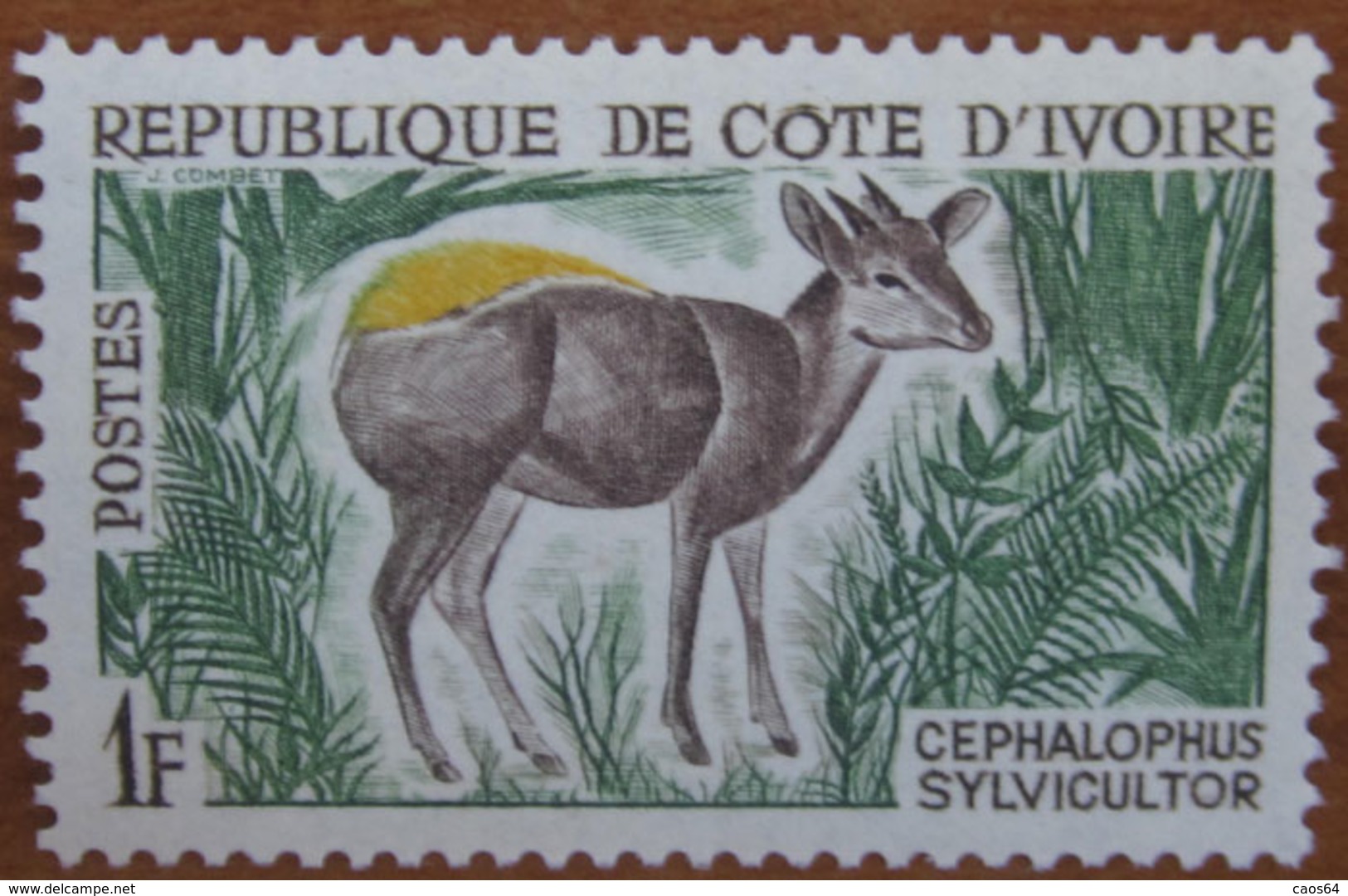 1964 COSTA D'AVORIO Animali Antilope Yellow-backed Duiker (Cephalophus Silvicultor) - 1f Nuovo - Costa D'Avorio (1960-...)