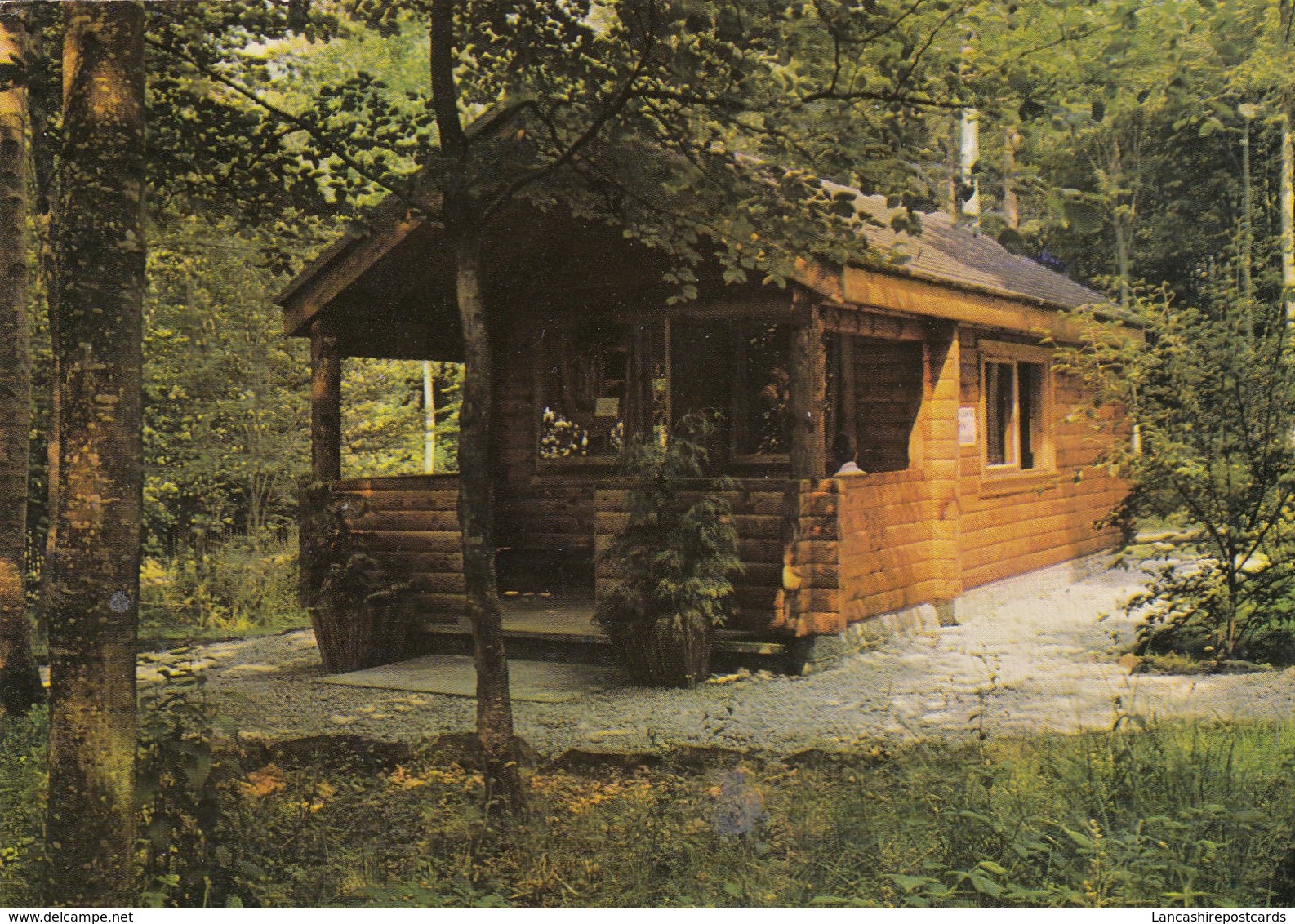 Postcard Forestry Commission The Murray Forest Centre Fleet Forest Gate House Of Fleet  My Ref  B24185 - Kirkcudbrightshire