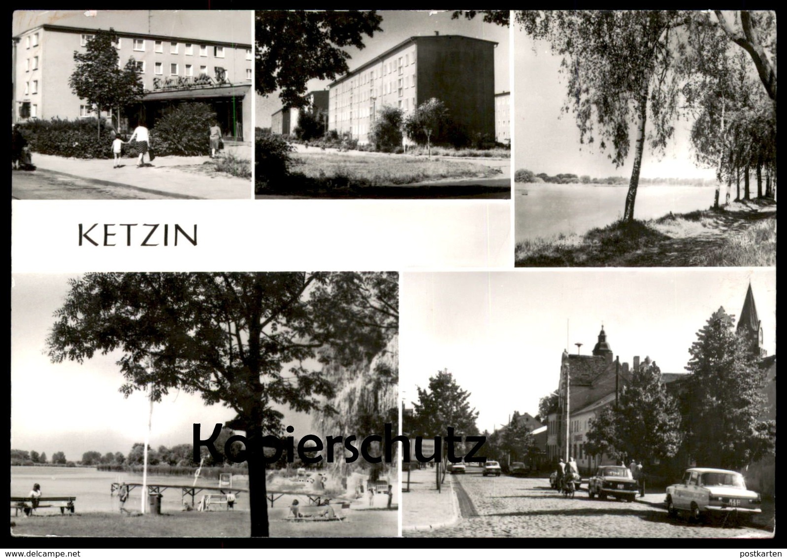 ÄLTERE POSTKARTE KETZIN KREIS NAUEN Briefmarke DDR Tillandsia Bulbosa Bromelie Ansichtskarte Postcard Cpa AK - Ketzin