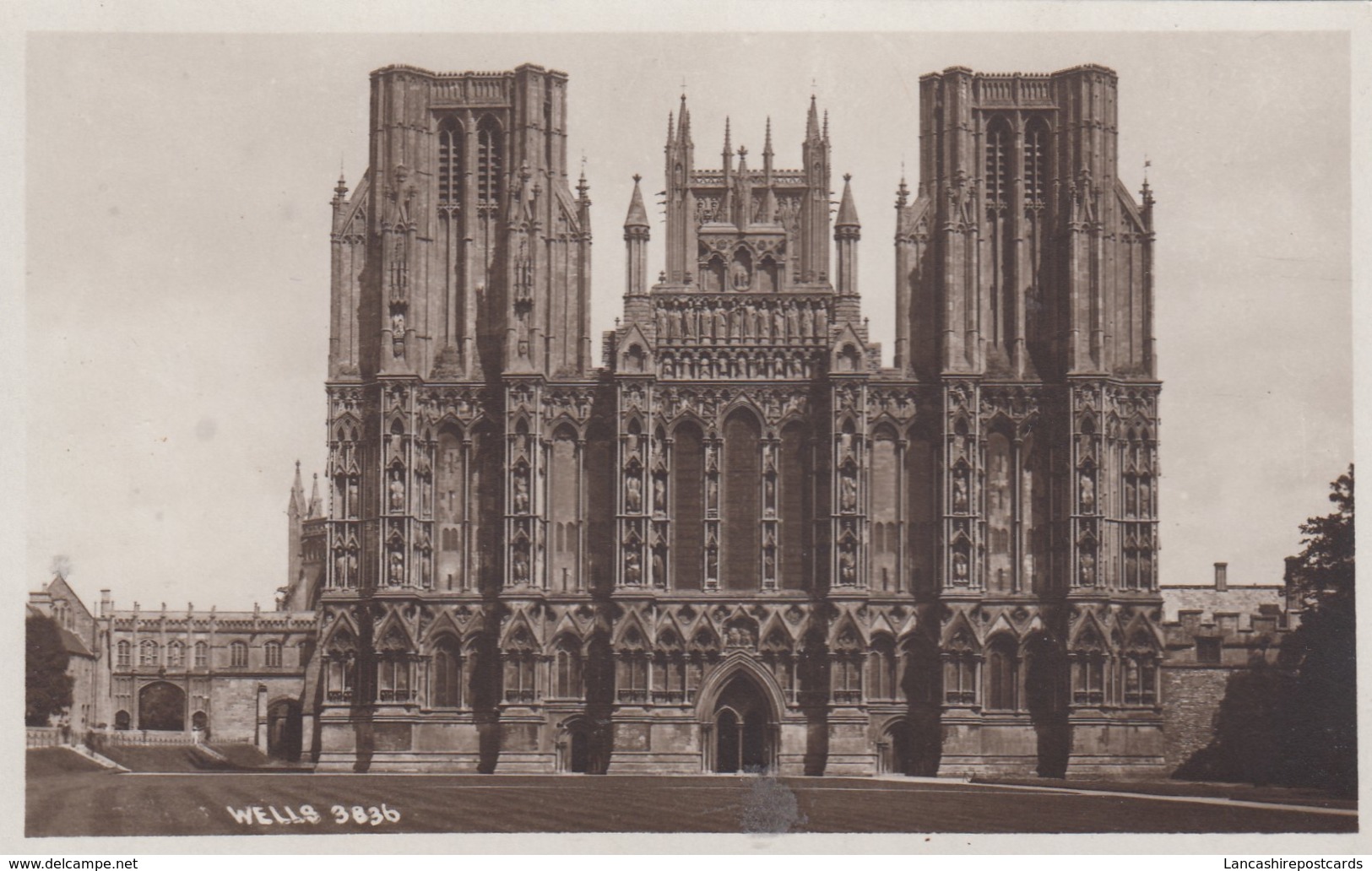 Postcard Wells Cathedral RP By Chapman & Sons Of Dawlish My Ref  B14029 - Wells