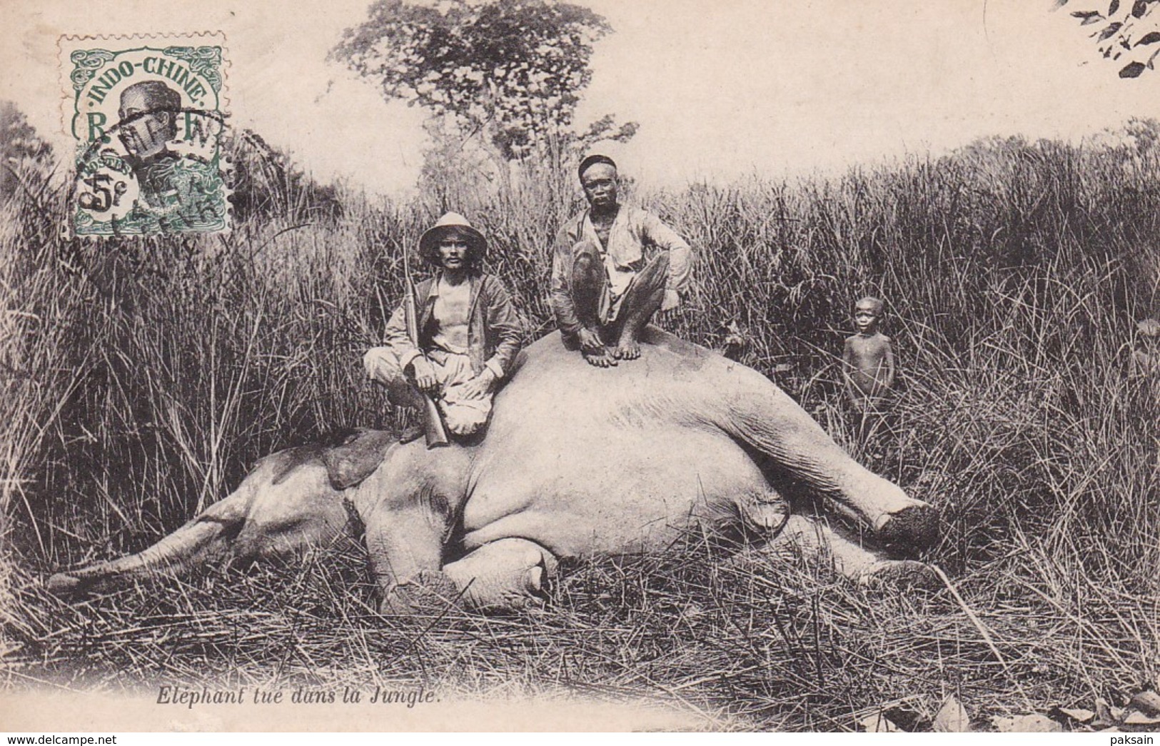 Laos Ou Cambodge Eléphant Tué Dans La Jungle Indochine Chasse Hunting Indochina - Laos