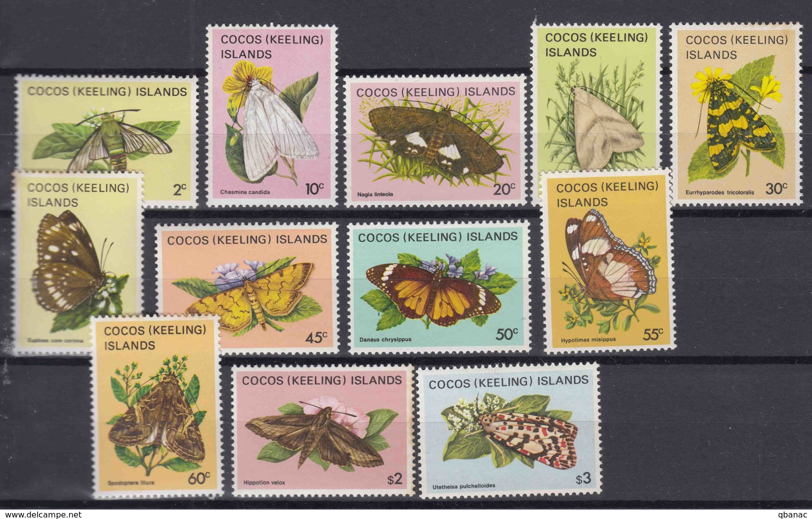 Cocos Islands 1982 Butterflies, 12 Stamps From Set Mi#88-103 Mint Never Hinged - Cocos (Keeling) Islands