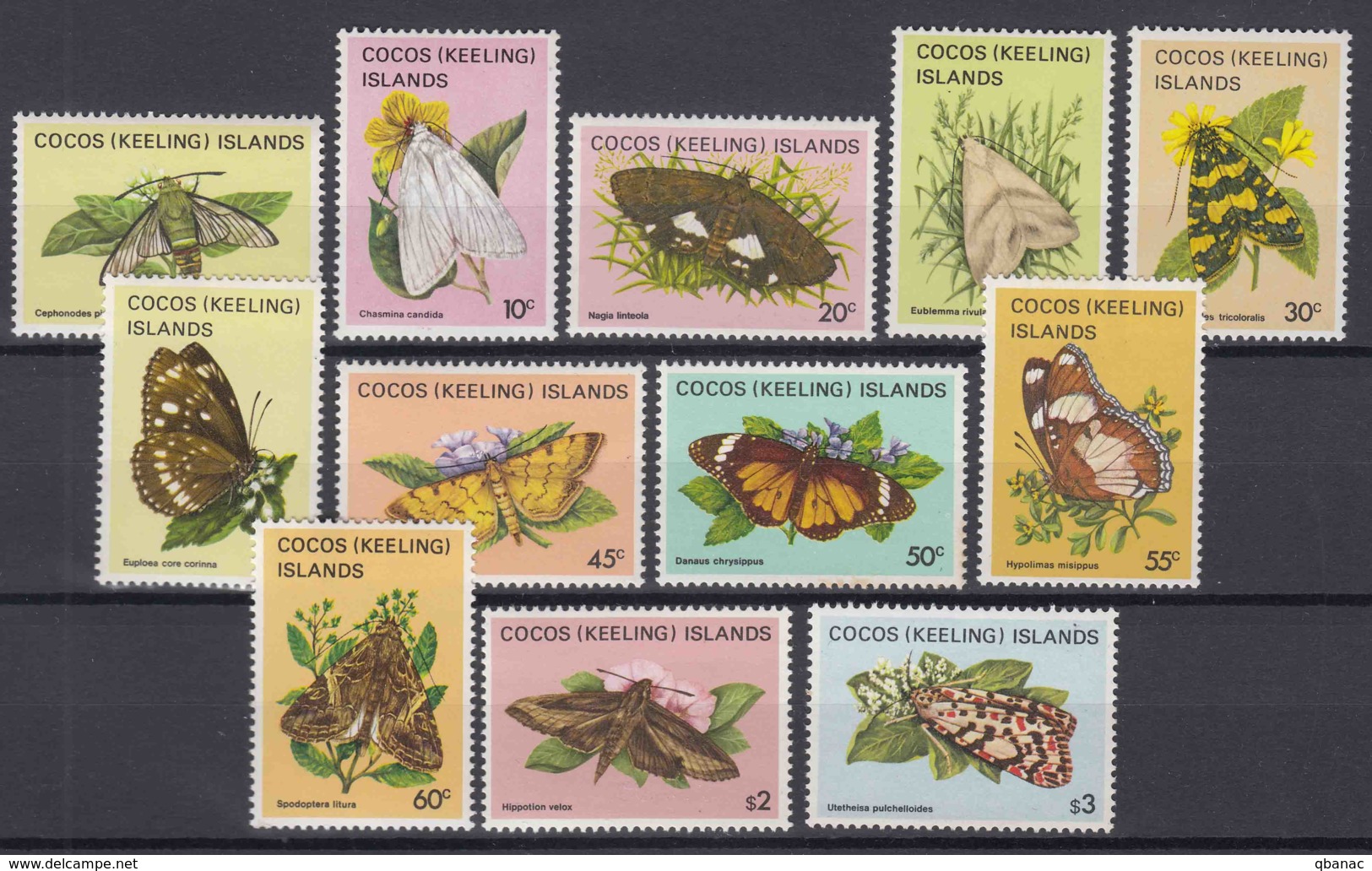 Cocos Islands 1982 Butterflies, 12 Stamps From Set Mi#88-103 Mint Never Hinged - Cocos (Keeling) Islands