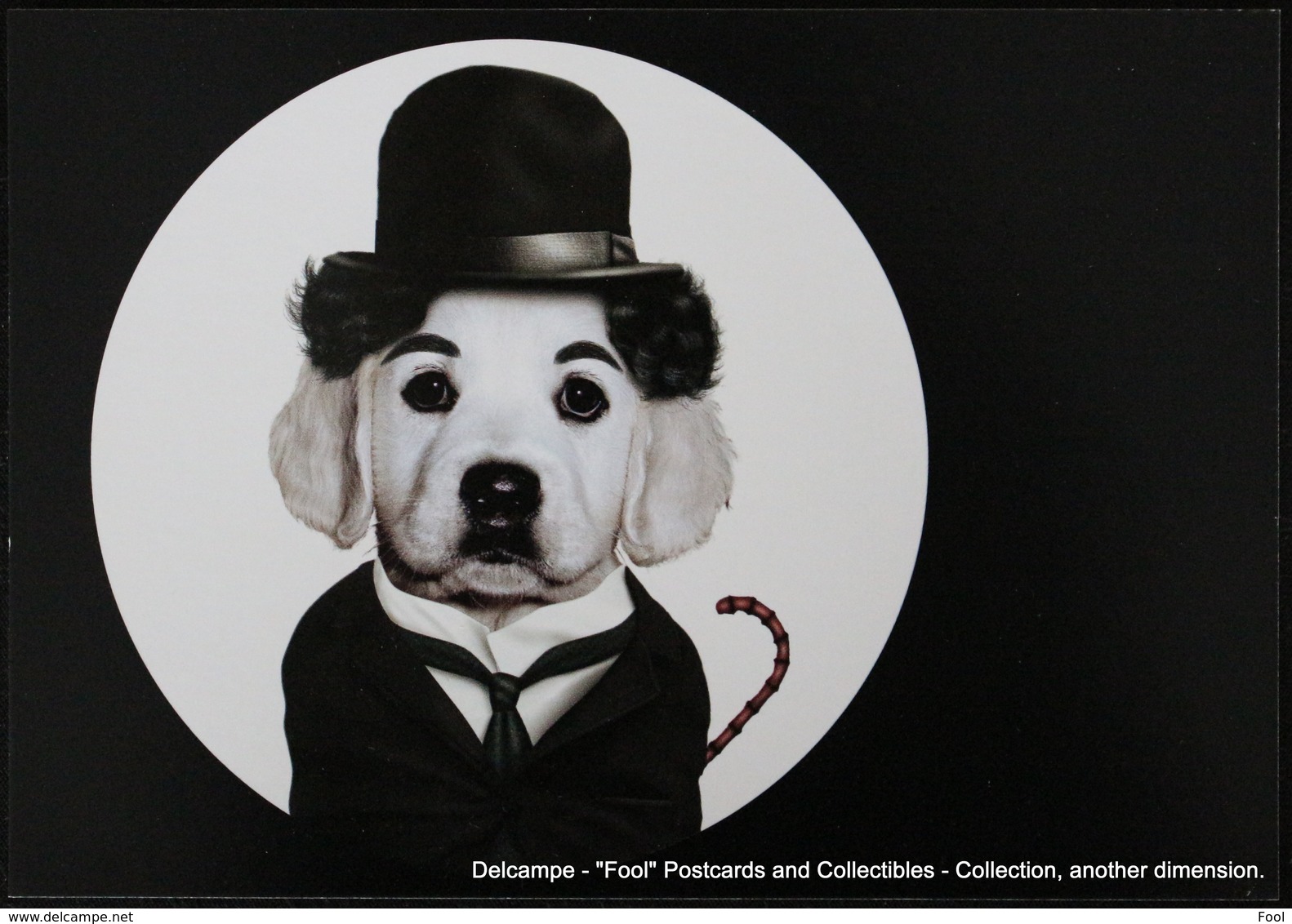 Famous Faces TAKKODA Pets Celebrity Photography Dog Célébrités Animal Chien Photographie CHARLIE CHAPLIN Charlot - Animaux Habillés