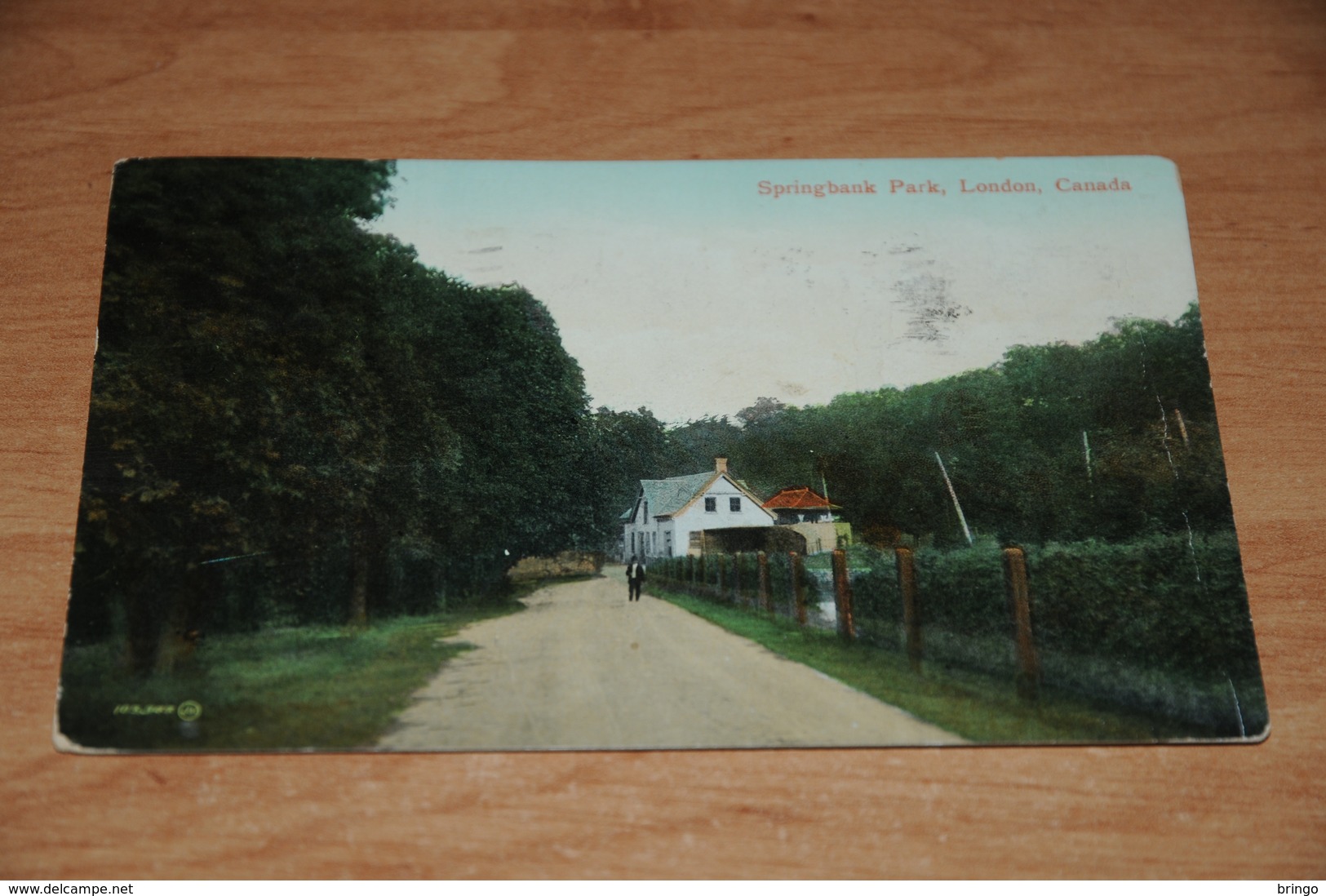 2922-          CANADA, ONTARIO, LONDON, SPRINGBANK PARK - 1911 - Londen