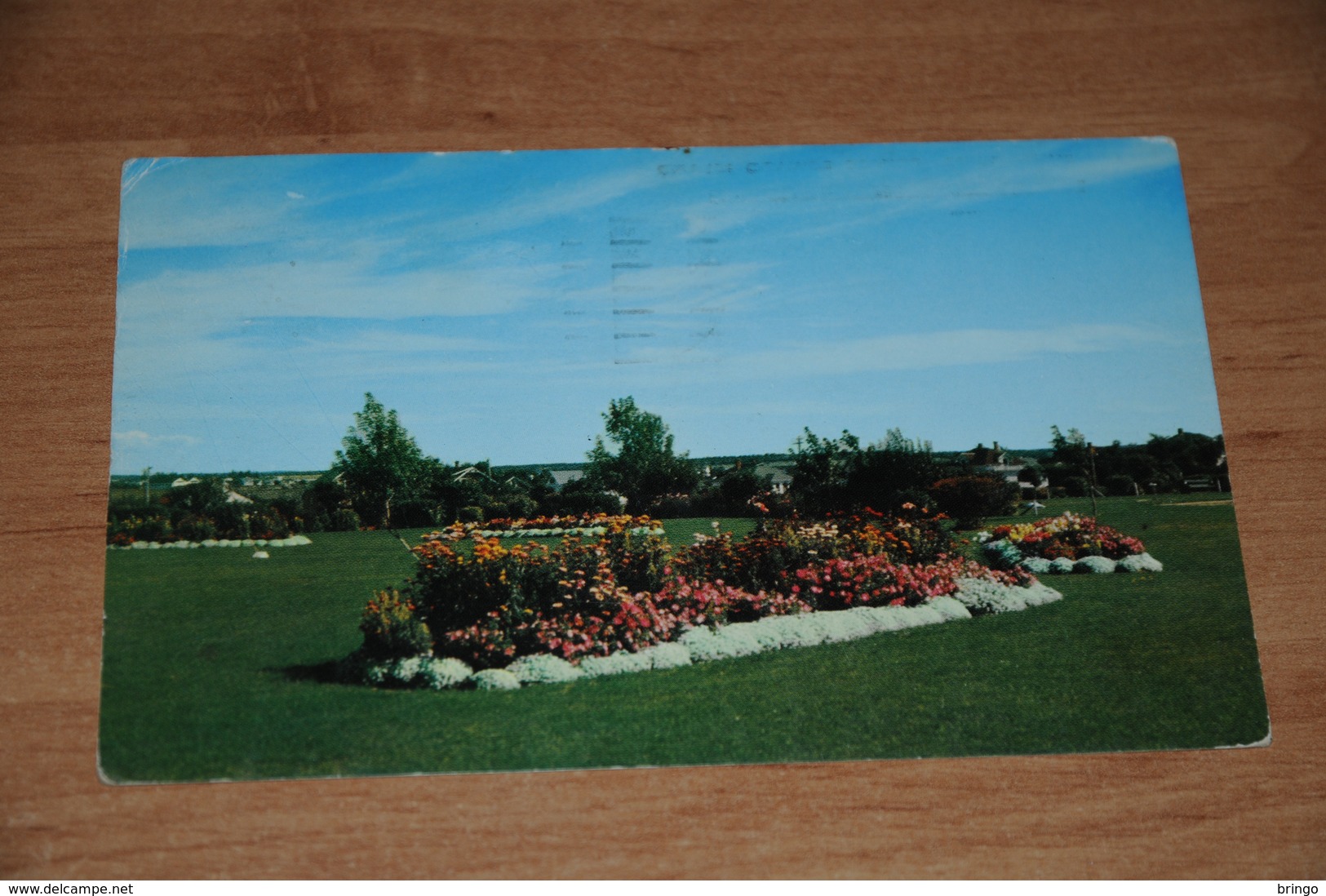 2952-          CANADA, PRINCE EDWARD ISLAND, SUMMERSIDE, QUEEN ELIZABETH PARK FLOWER GARDENS - Altri & Non Classificati