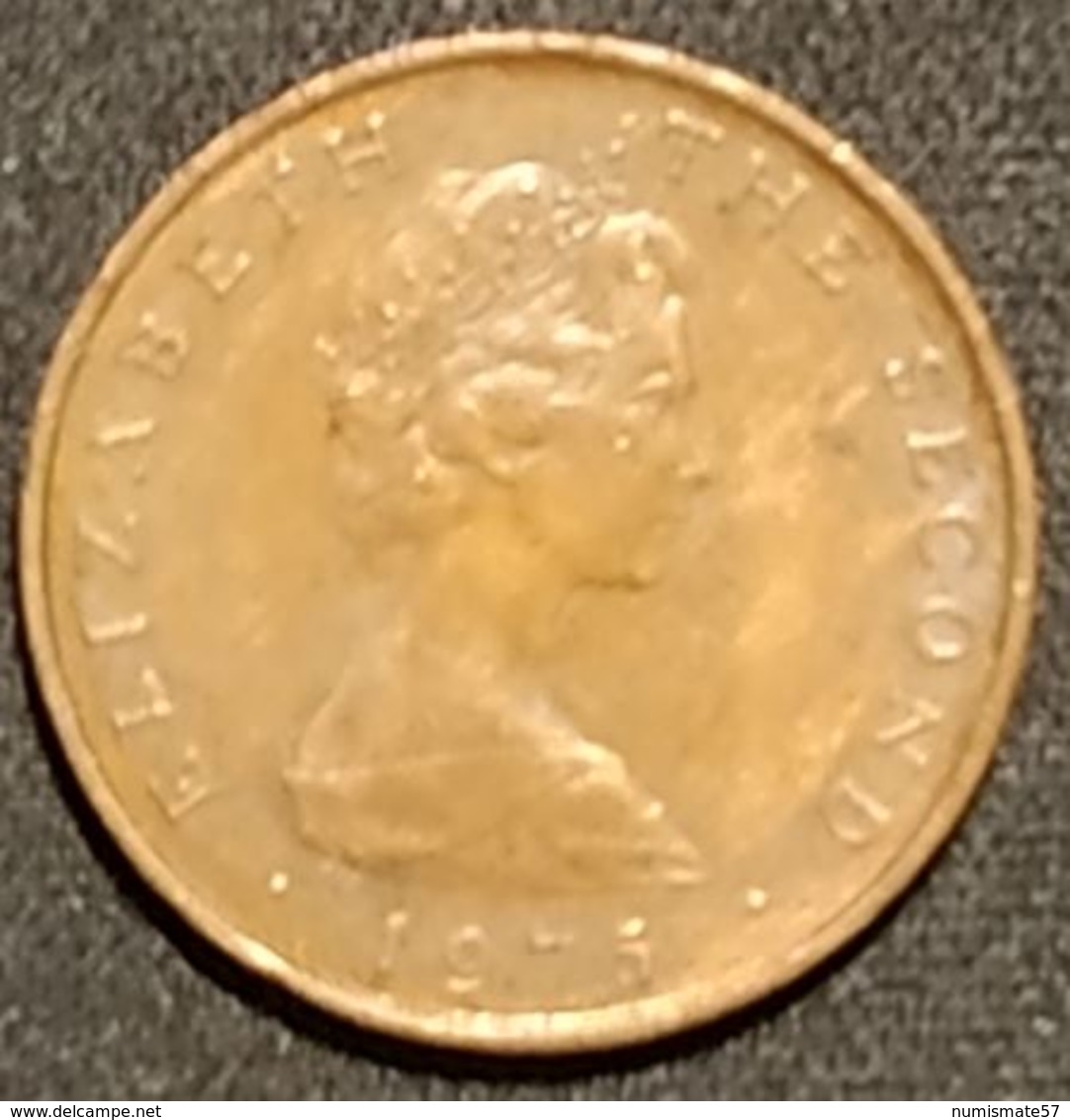 ILE DE MAN - ISLE OF MAN - 1 PENNY 1975 - Elizabeth II ( 2ème Effigie ) - KM 20 - Île De  Man