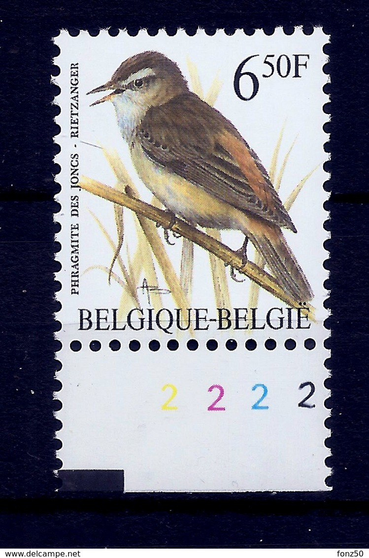 BELGIE * Buzin * Nr 2577 P6a  Plaatnr 2 * Postfris Xx - Altri & Non Classificati