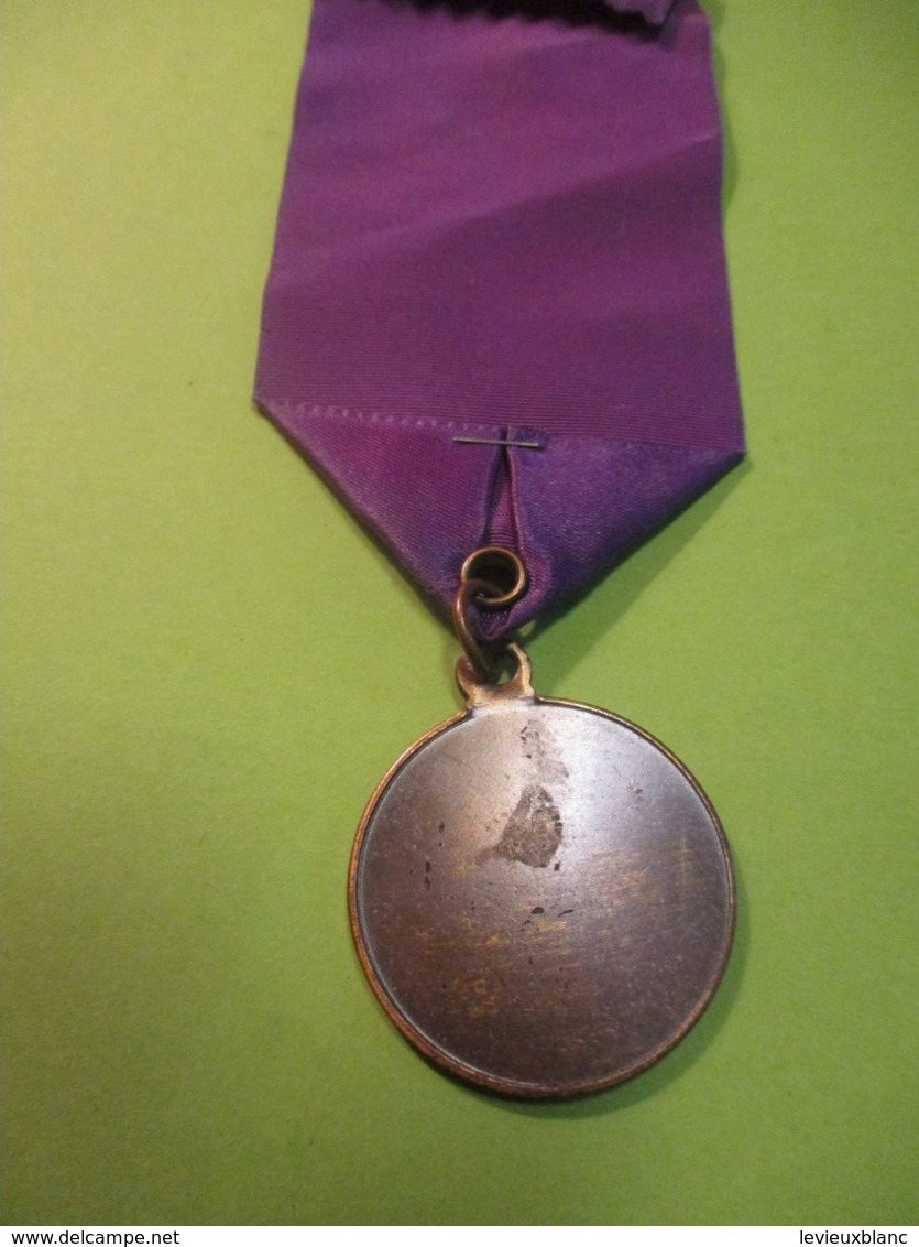 Médaille De Congrés/Conference On Cities/Delegate /  INDIANAPOLIS/ Indiana/ USA/ 1971     MED366 - Etats-Unis