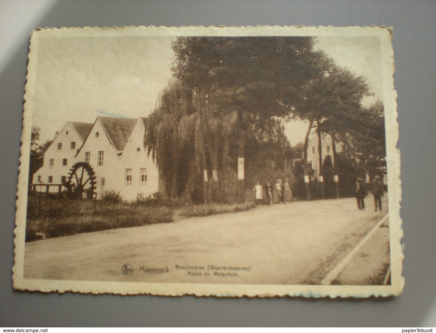 MAASEIK - BOSCHMOLEN - WEERTERSTEENWEG - WATERMOLEN - GROOT FORMAAT - Maaseik