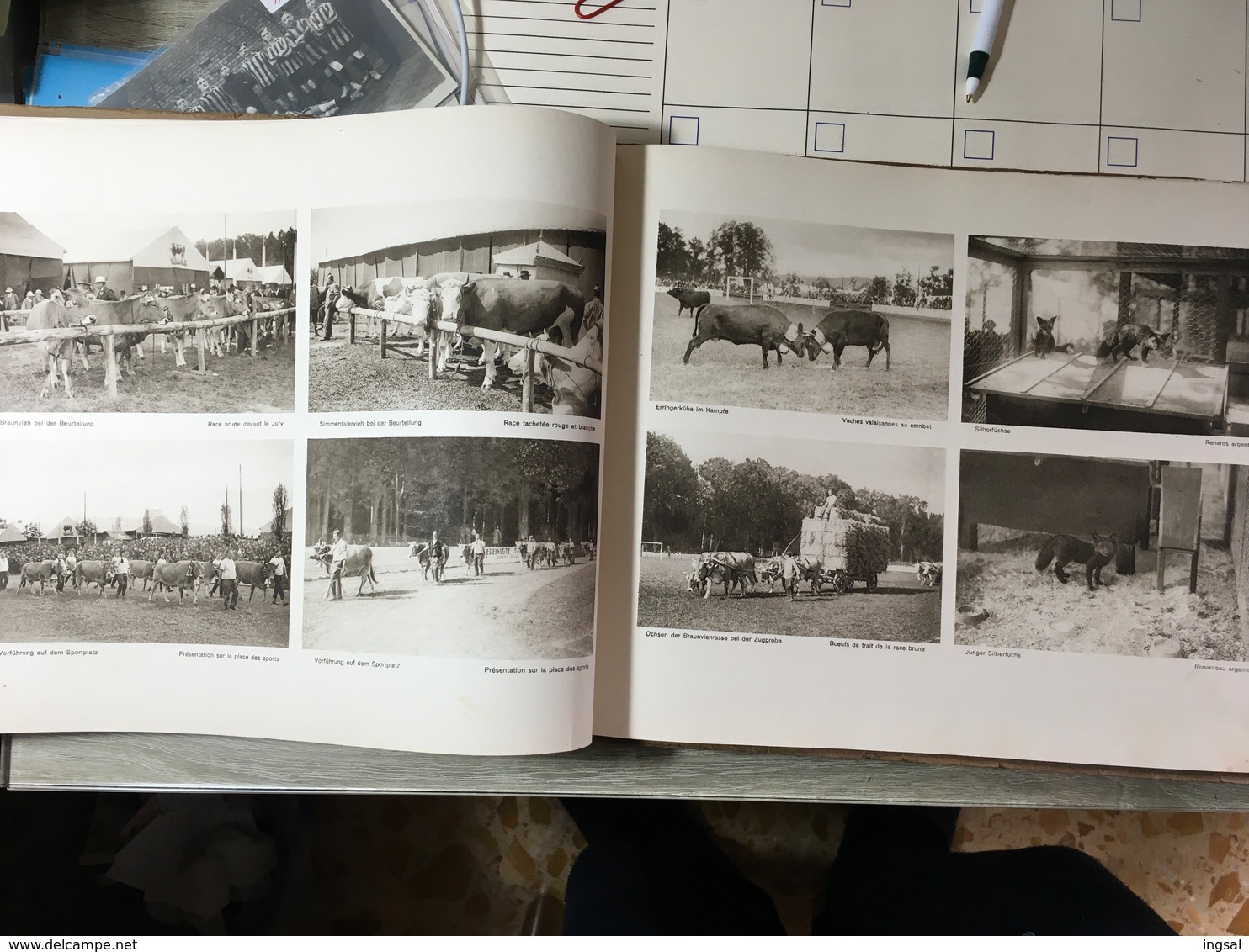 Schweiz, Landwirtschaftl, Ausstellung-Exposition Suisse D’Agriculture. Bern 1925 - Catalogues