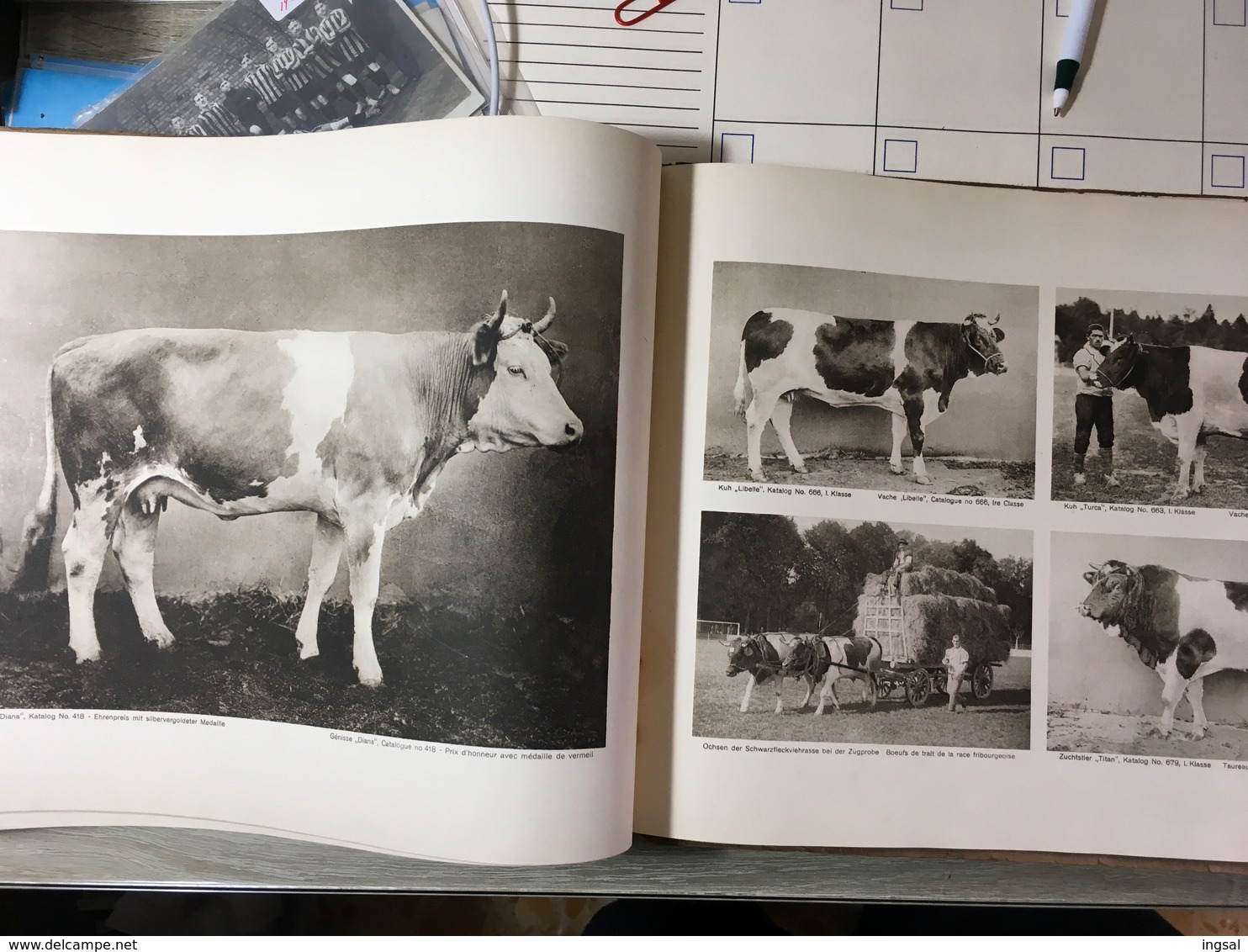 Schweiz, Landwirtschaftl, Ausstellung-Exposition Suisse D’Agriculture. Bern 1925 - Catalogues