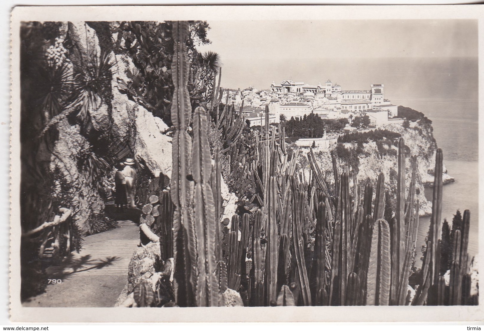 Monaco - Vue Prise Du Jardin Exitoque - Cattedrale Dell'Immacolata Concezione