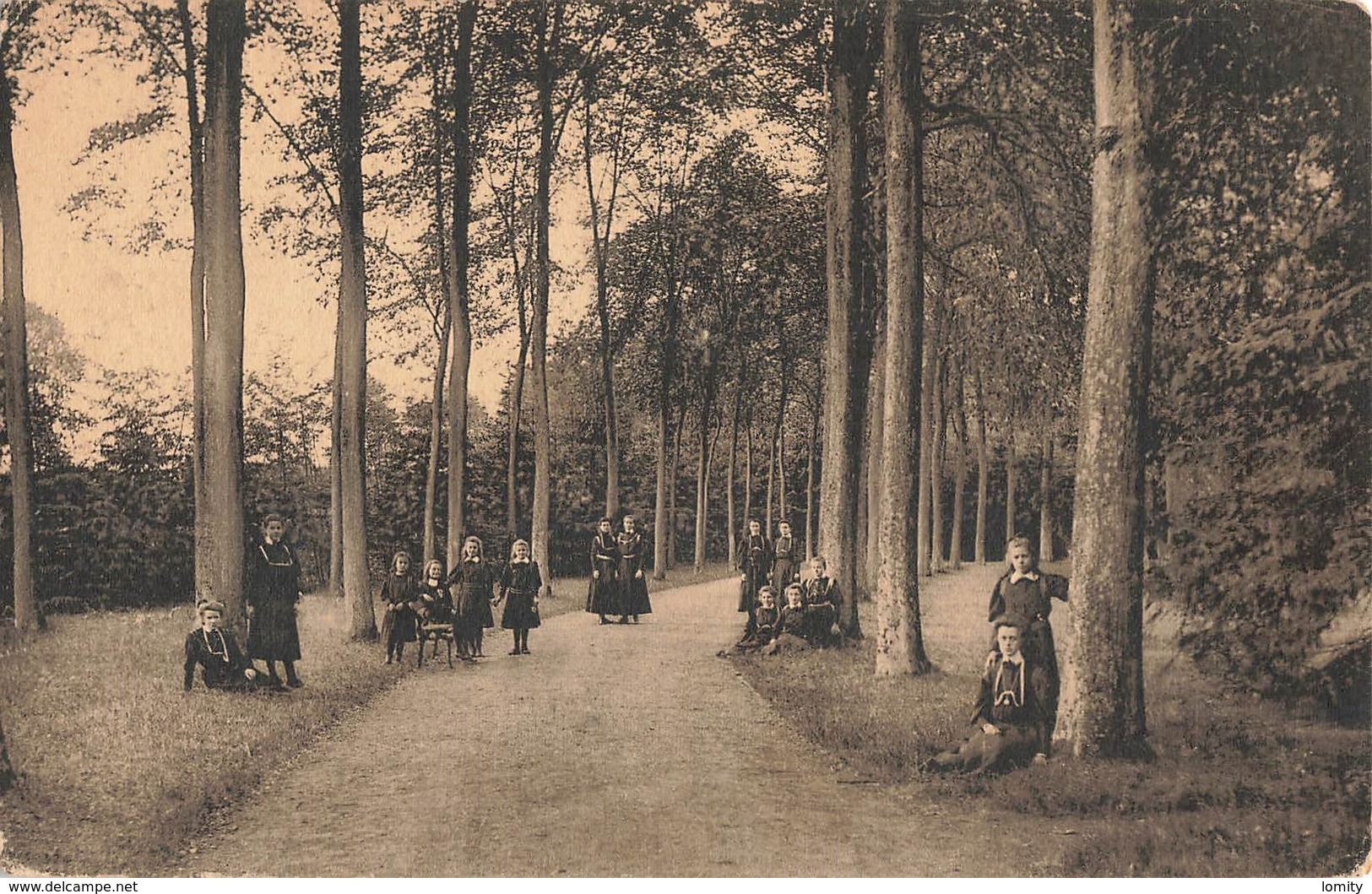 Pays Bas - Netherlands Vught Pensionnat Regina Coeli  Allée Principale Du Parc - Vught