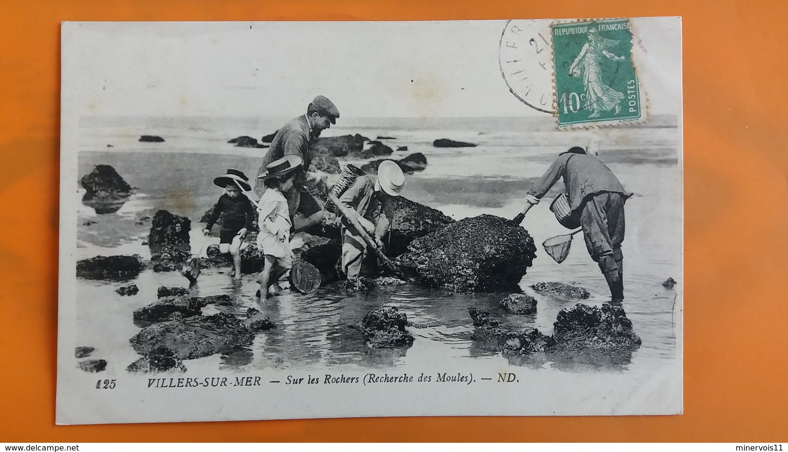 Villers Sur Mers - Sur Les Rochers Recherche Des Moules - Villers Sur Mer