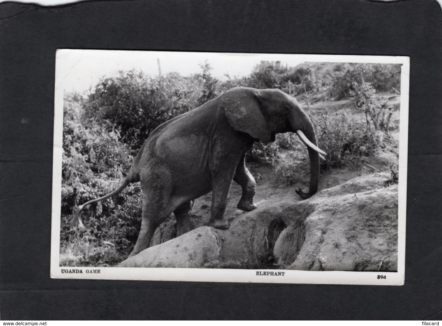 92125    Uganda,  Uganda Game,  Elefant,  VG  1964 - Ouganda