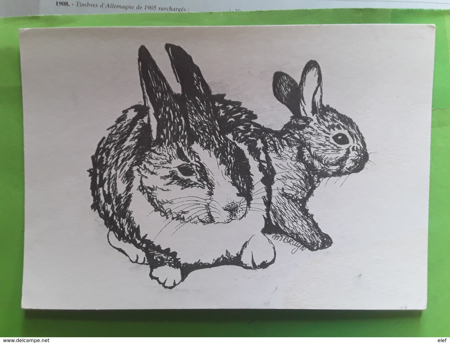 Couple De LAPINS LAPIN Rabbit , Dessin De M BRUYN Ou De Bruin , Ed Uitgave A Z , Nederland - Andere & Zonder Classificatie