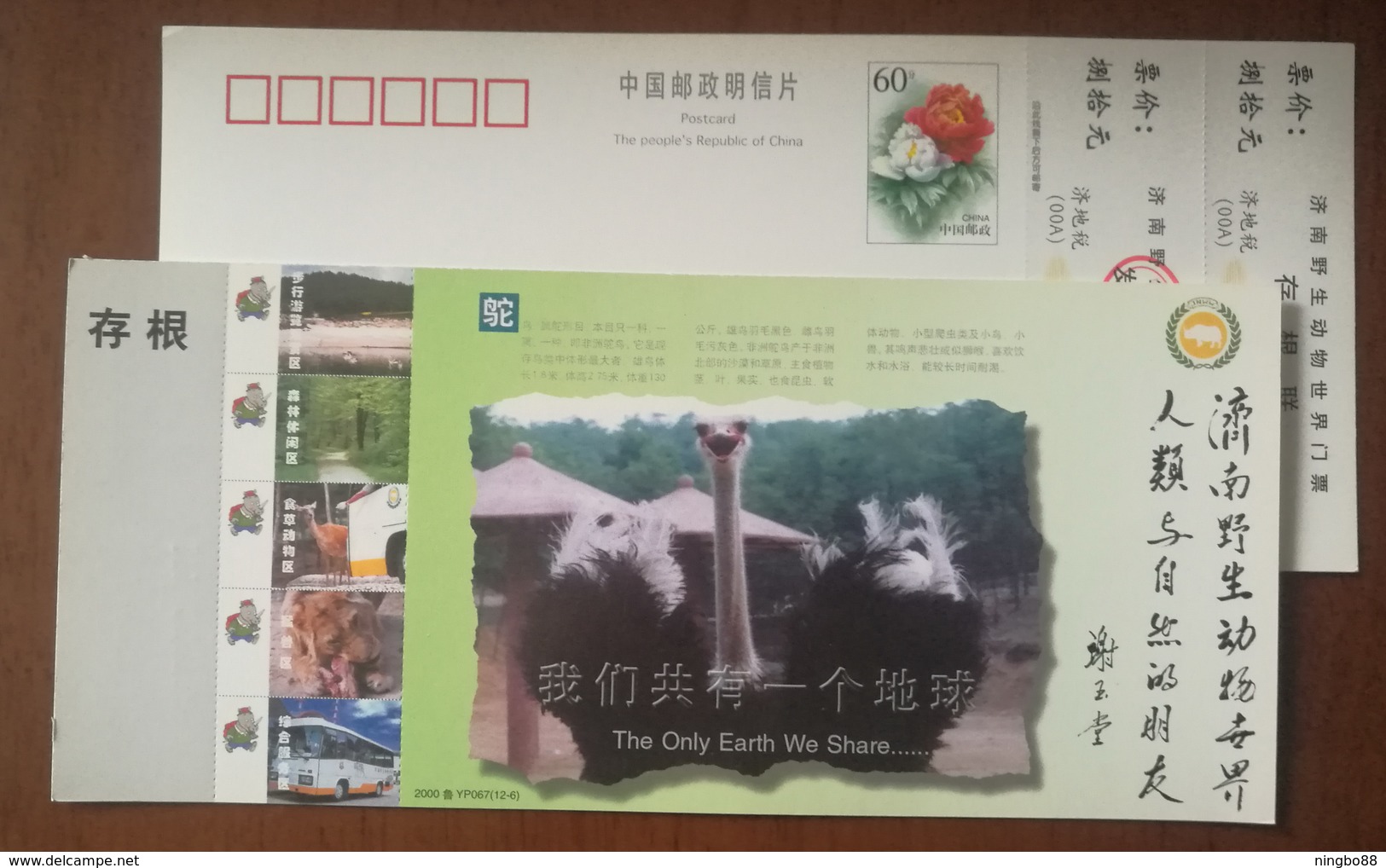 African Ostrich,The Only Earth We Share,China 2000 Jinan Wildlife Animal Zoo Admission Ticket Pre-stamped Card - Autruches