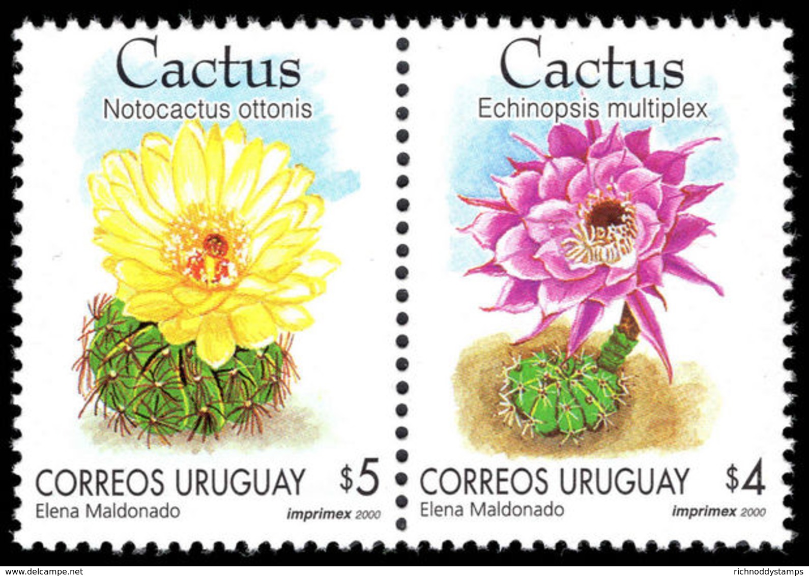 Uruguay 2000 Cacti Unmounted Mint. - Uruguay